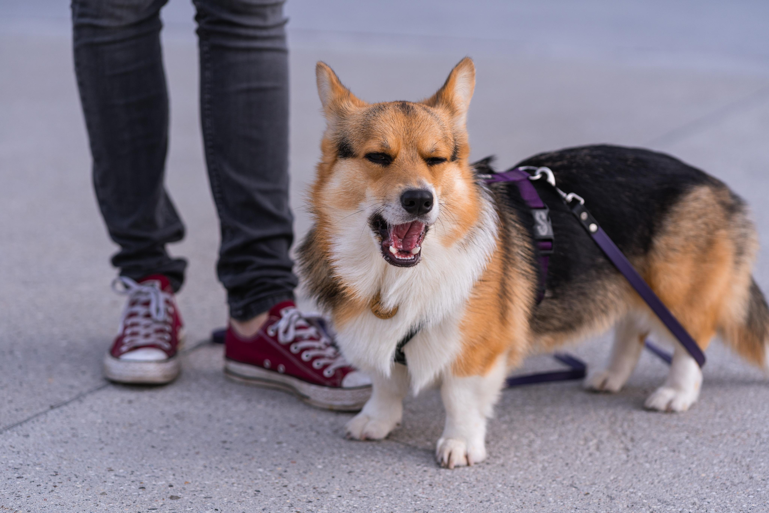 Полина и Каспер в Музеоне. Свадебный фотограф в Москве Анна Полушина