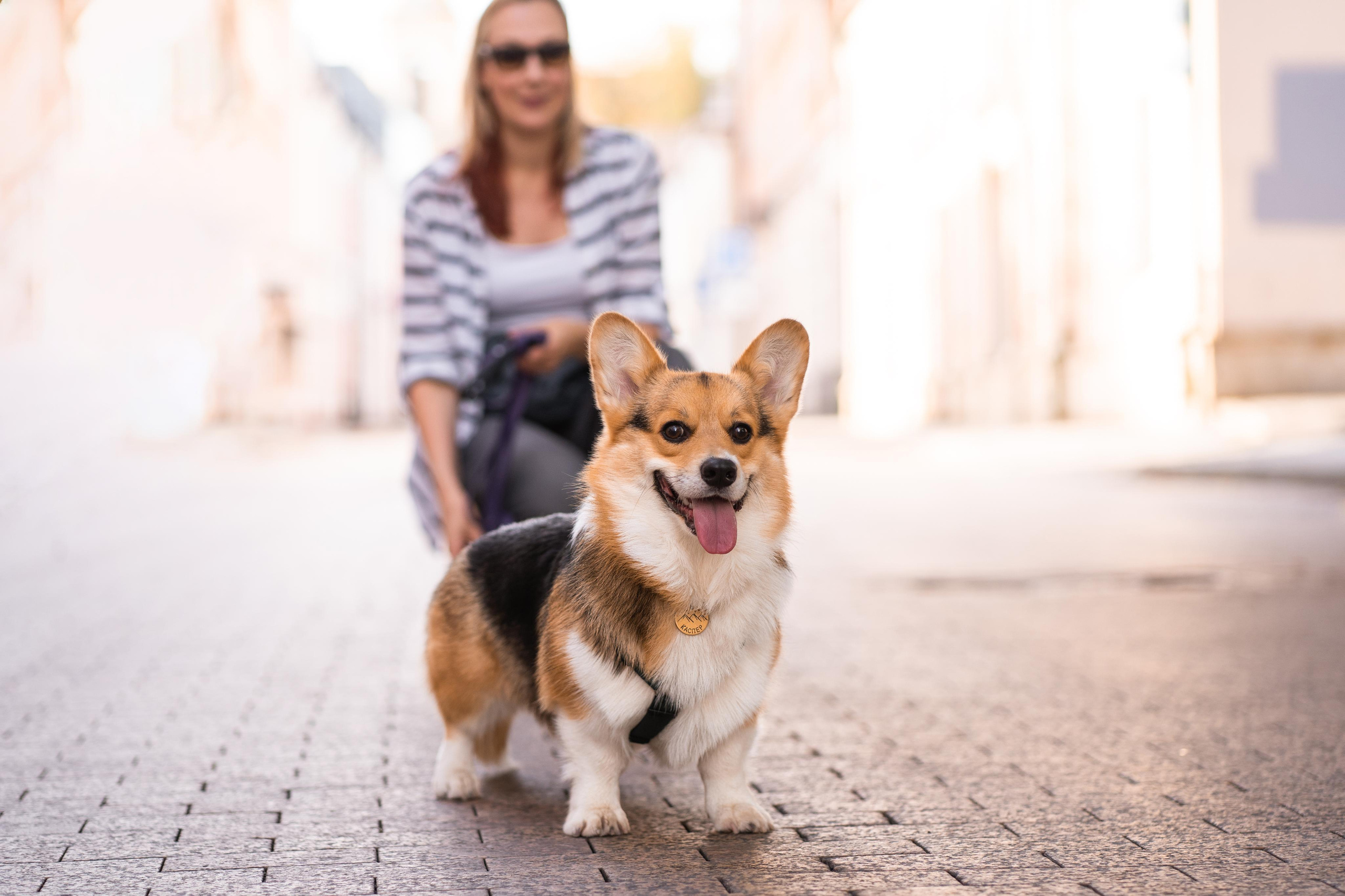 Полина и Каспер в Музеоне. Свадебный фотограф в Москве Анна Полушина