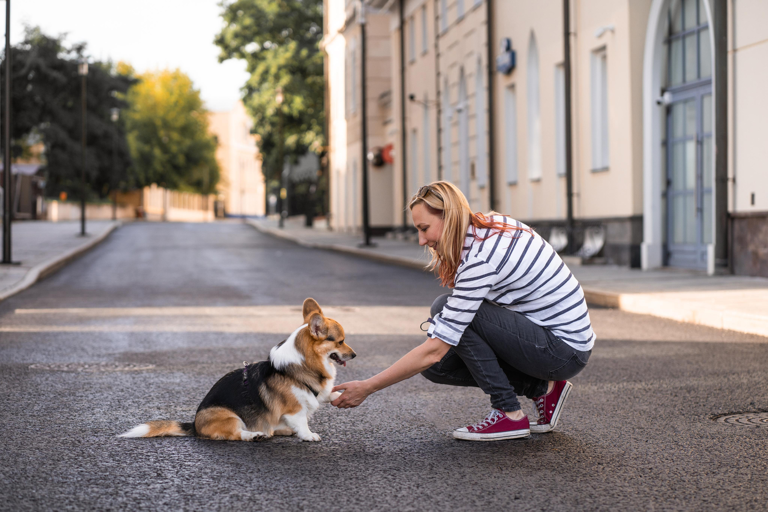 Полина и Каспер в Музеоне. Свадебный фотограф в Москве Анна Полушина