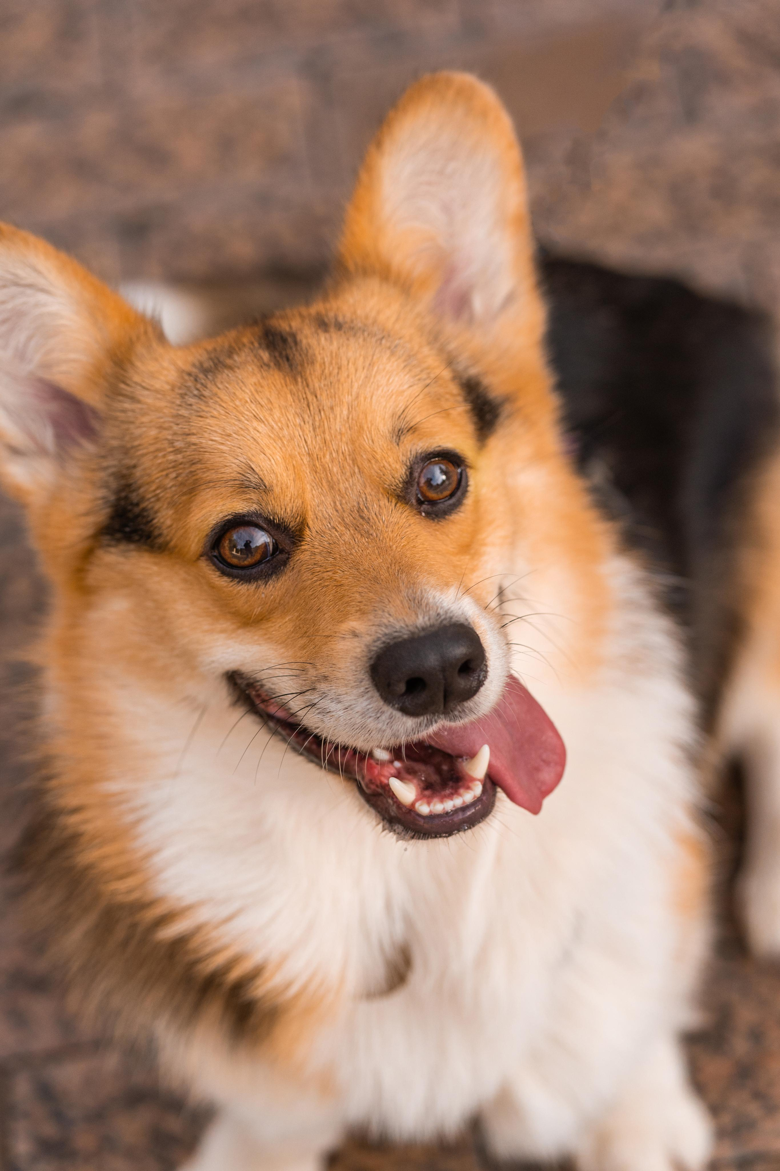Полина и Каспер в Музеоне. Свадебный фотограф в Москве Анна Полушина
