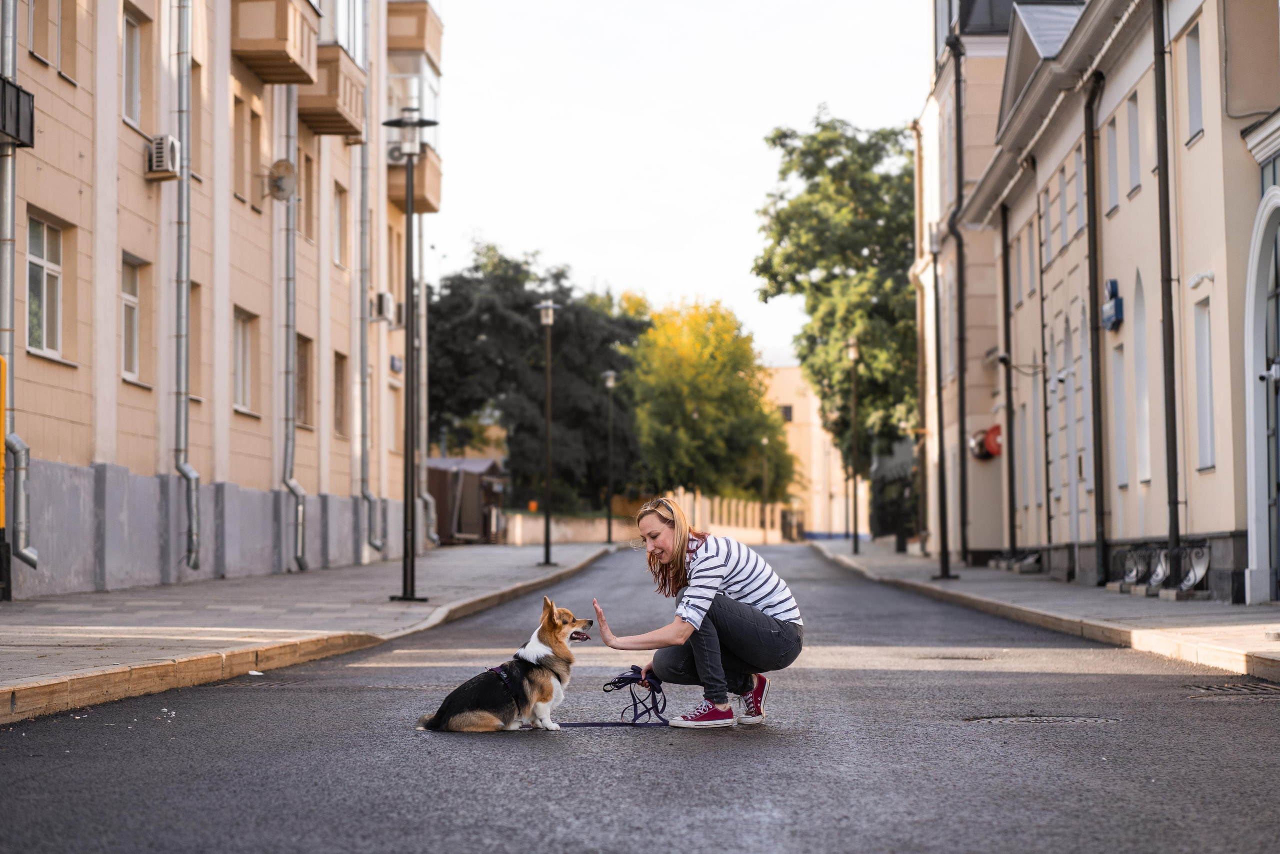 Полина и Каспер в Музеоне. Свадебный фотограф в Москве Анна Полушина