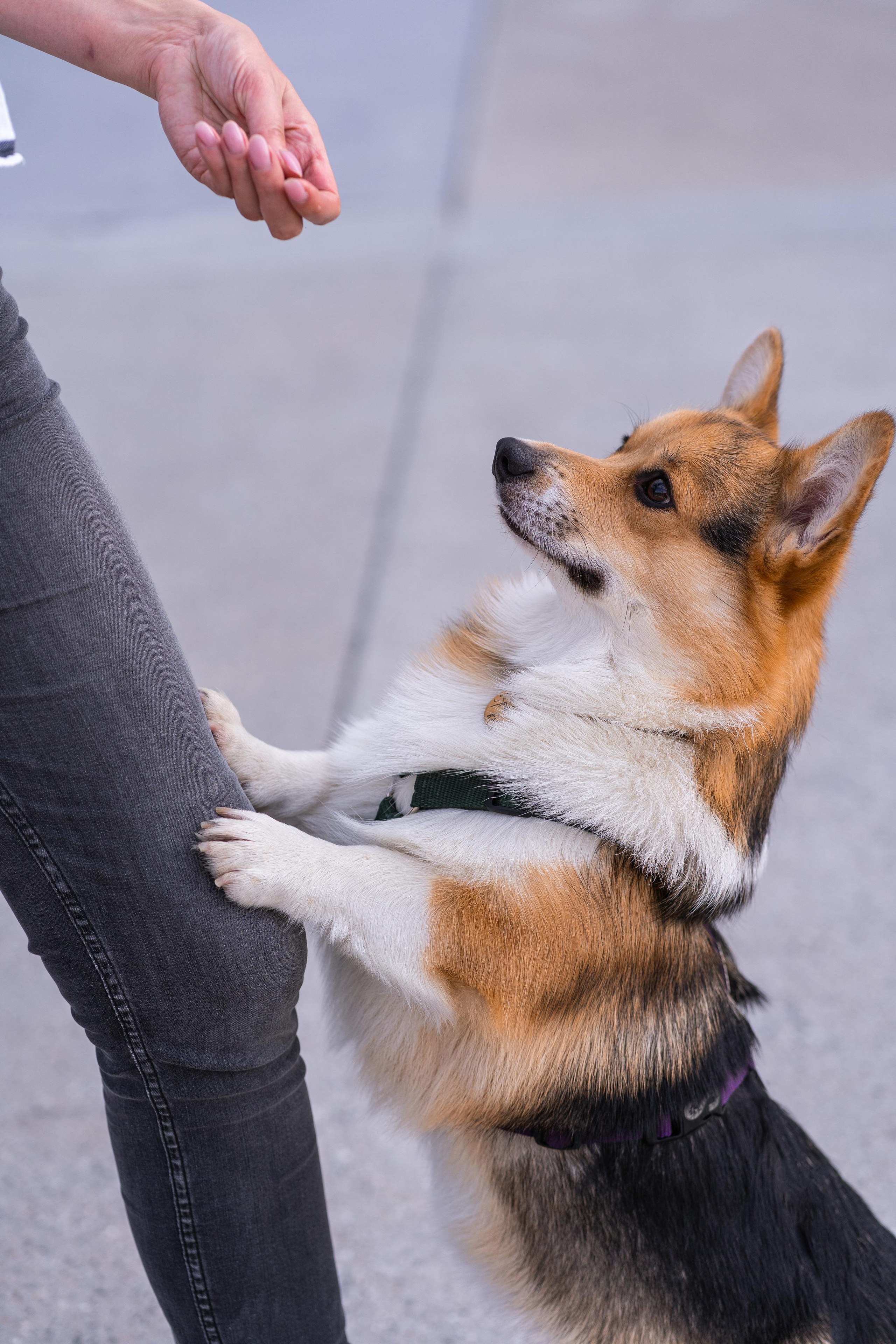 Полина и Каспер в Музеоне. Свадебный фотограф в Москве Анна Полушина