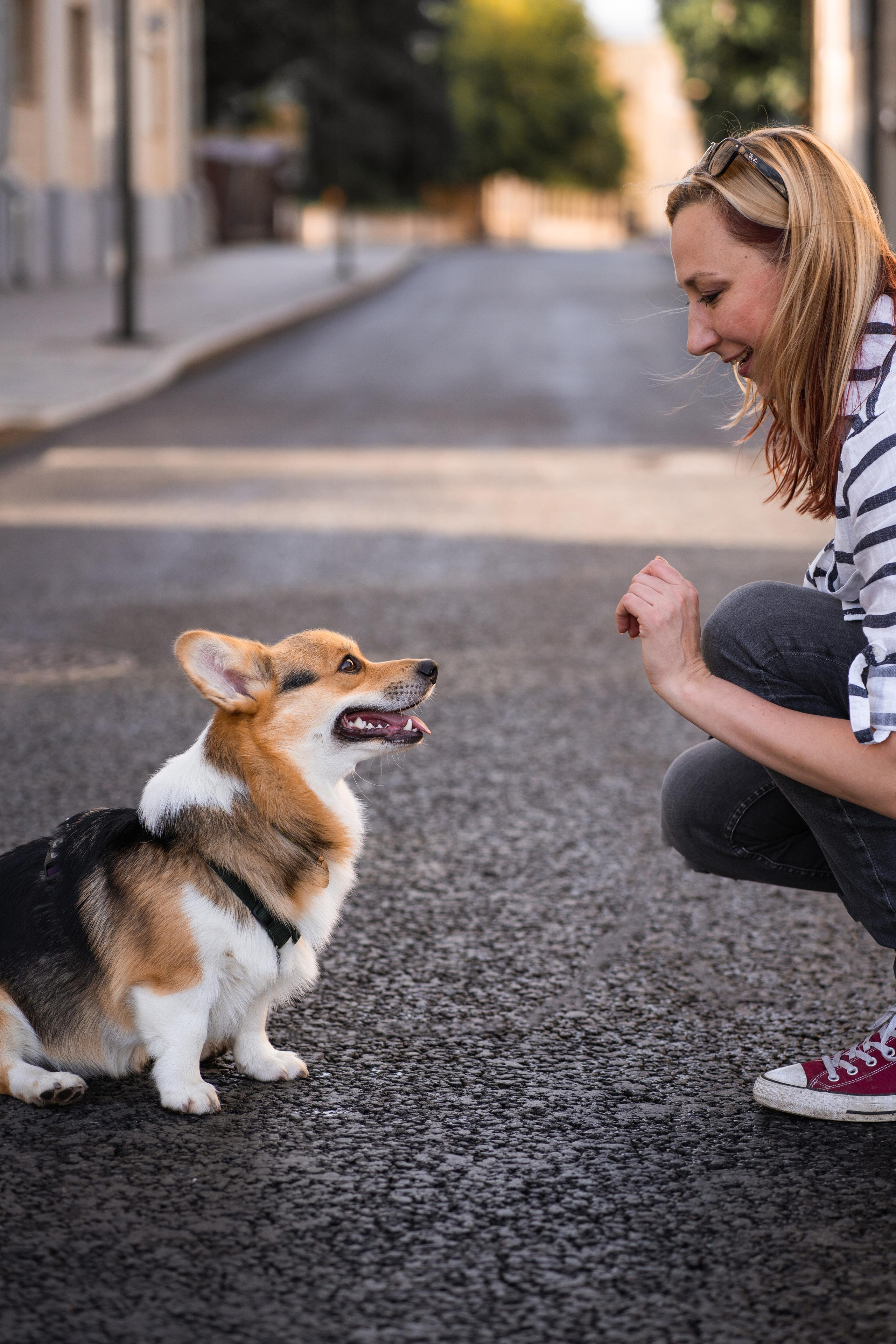 Полина и Каспер в Музеоне. Свадебный фотограф в Москве Анна Полушина
