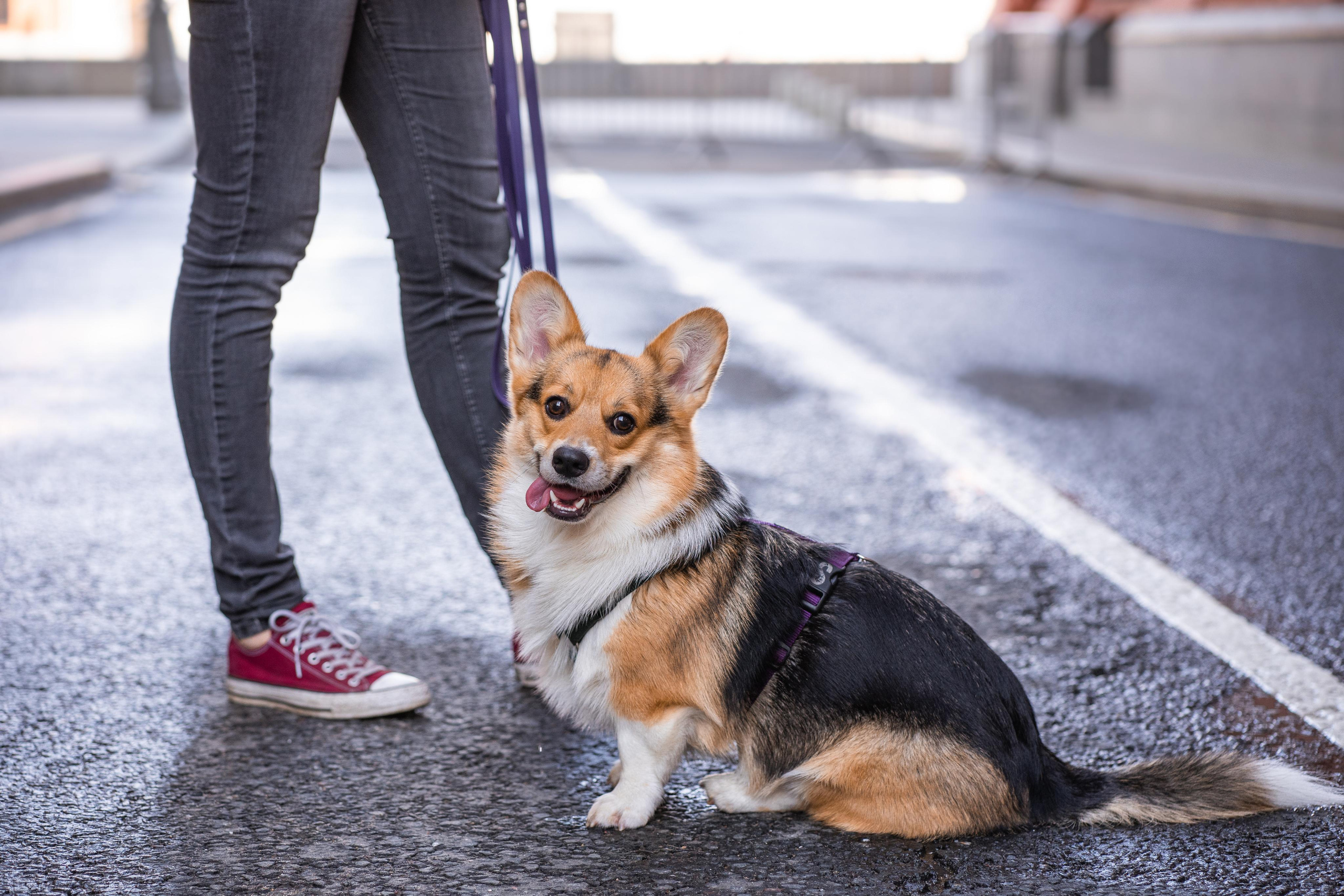 Полина и Каспер в Музеоне. Свадебный фотограф в Москве Анна Полушина