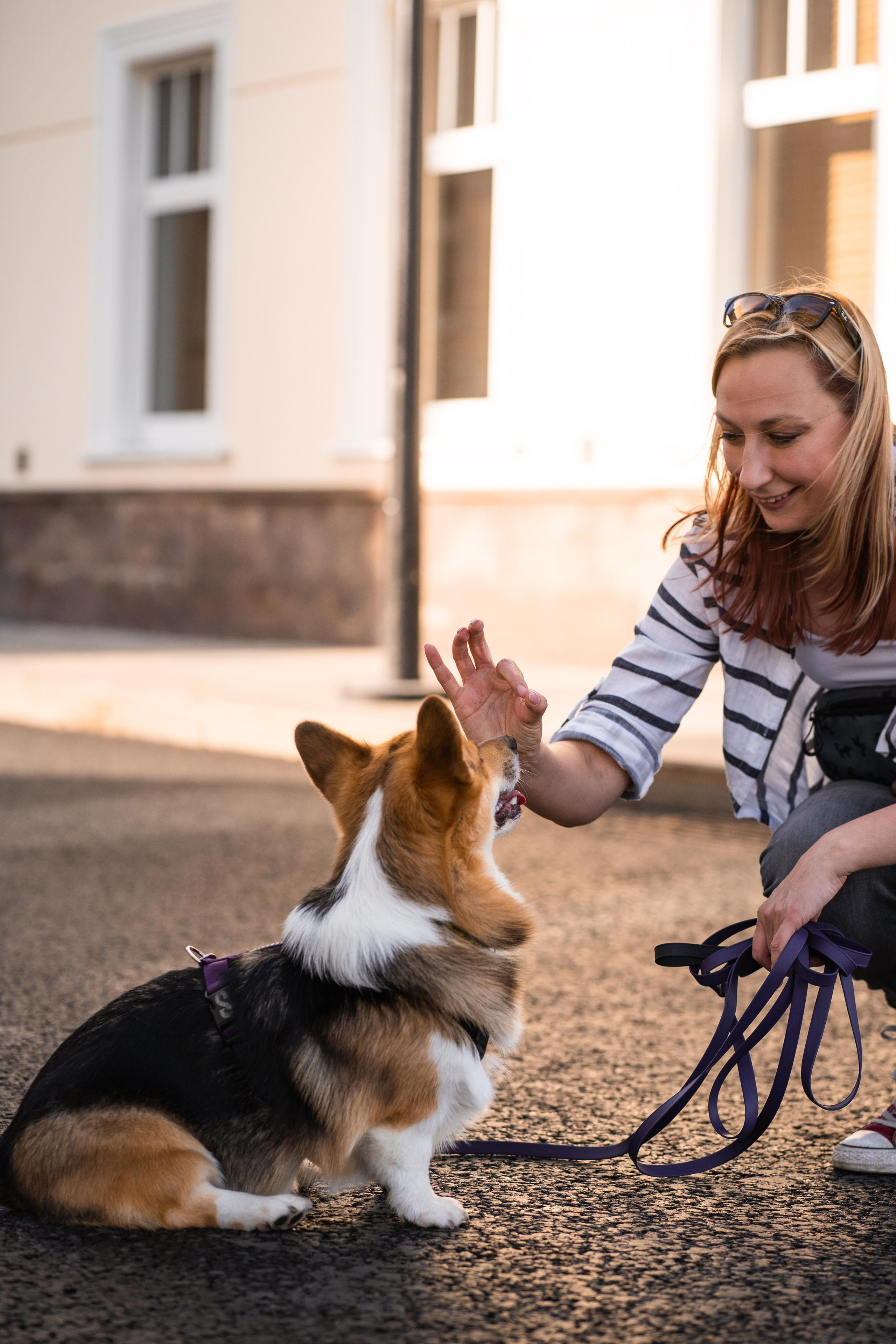 Полина и Каспер в Музеоне. Свадебный фотограф в Москве Анна Полушина