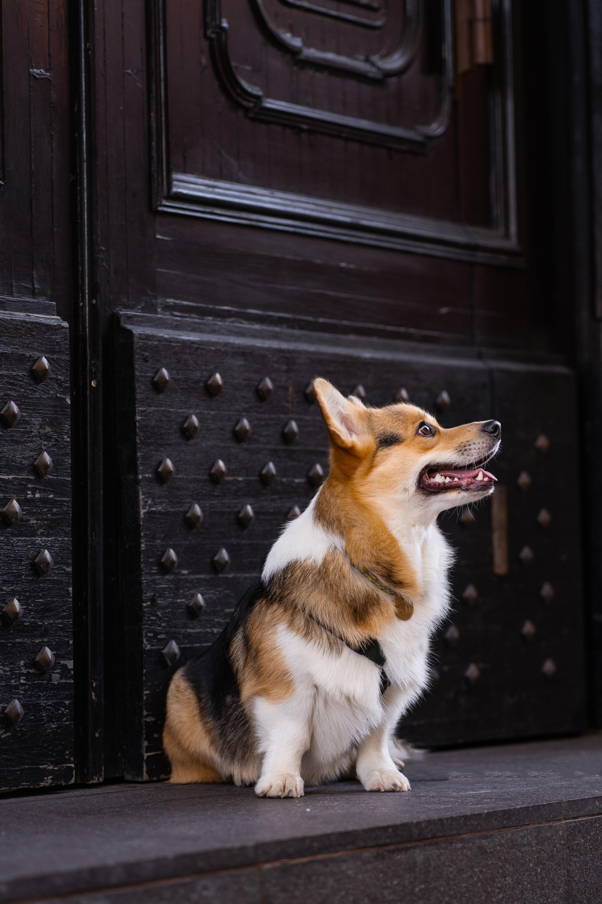Полина и Каспер в Музеоне. Свадебный фотограф в Москве Анна Полушина