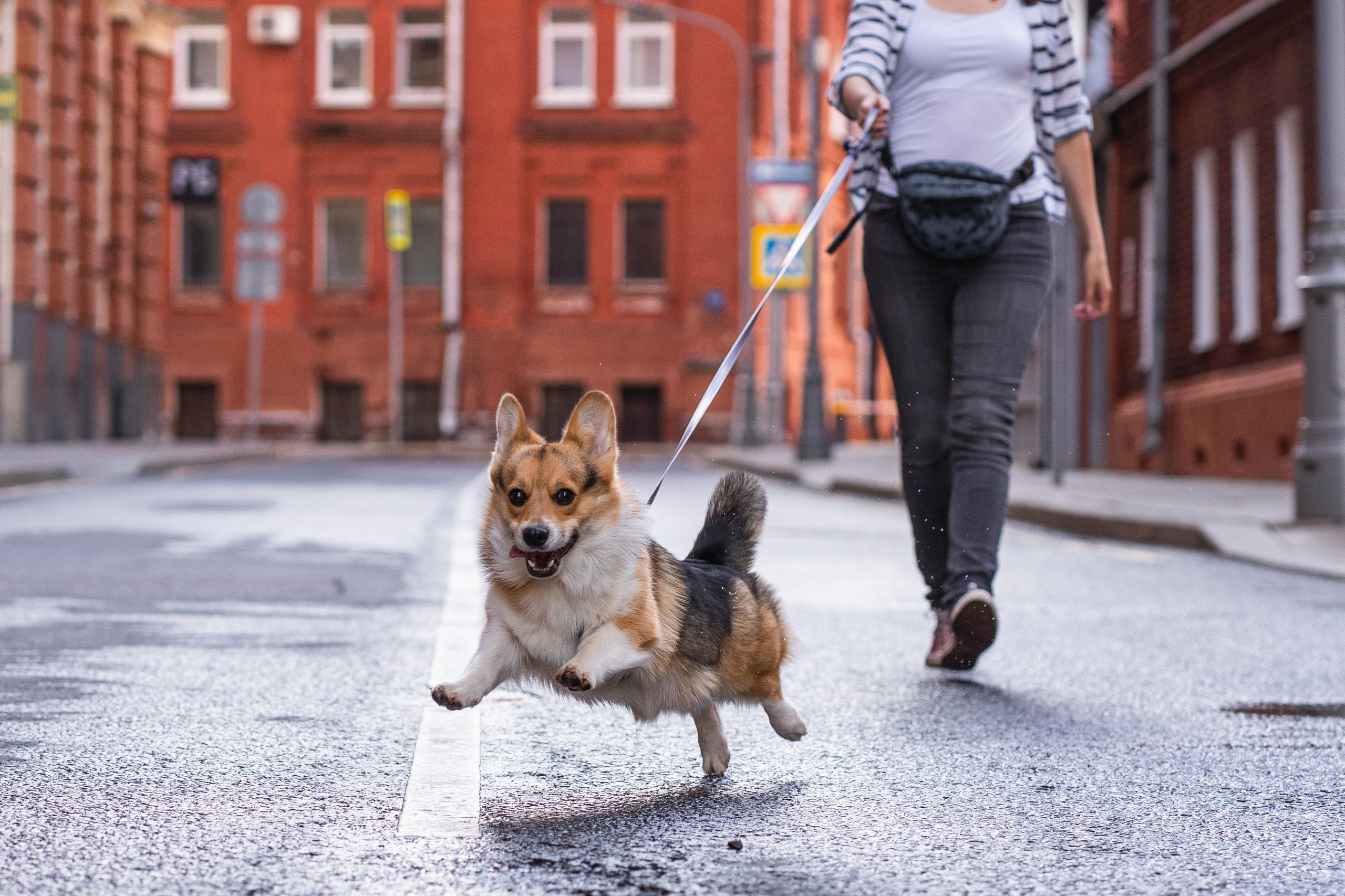 Полина и Каспер в Музеоне. Свадебный фотограф в Москве Анна Полушина