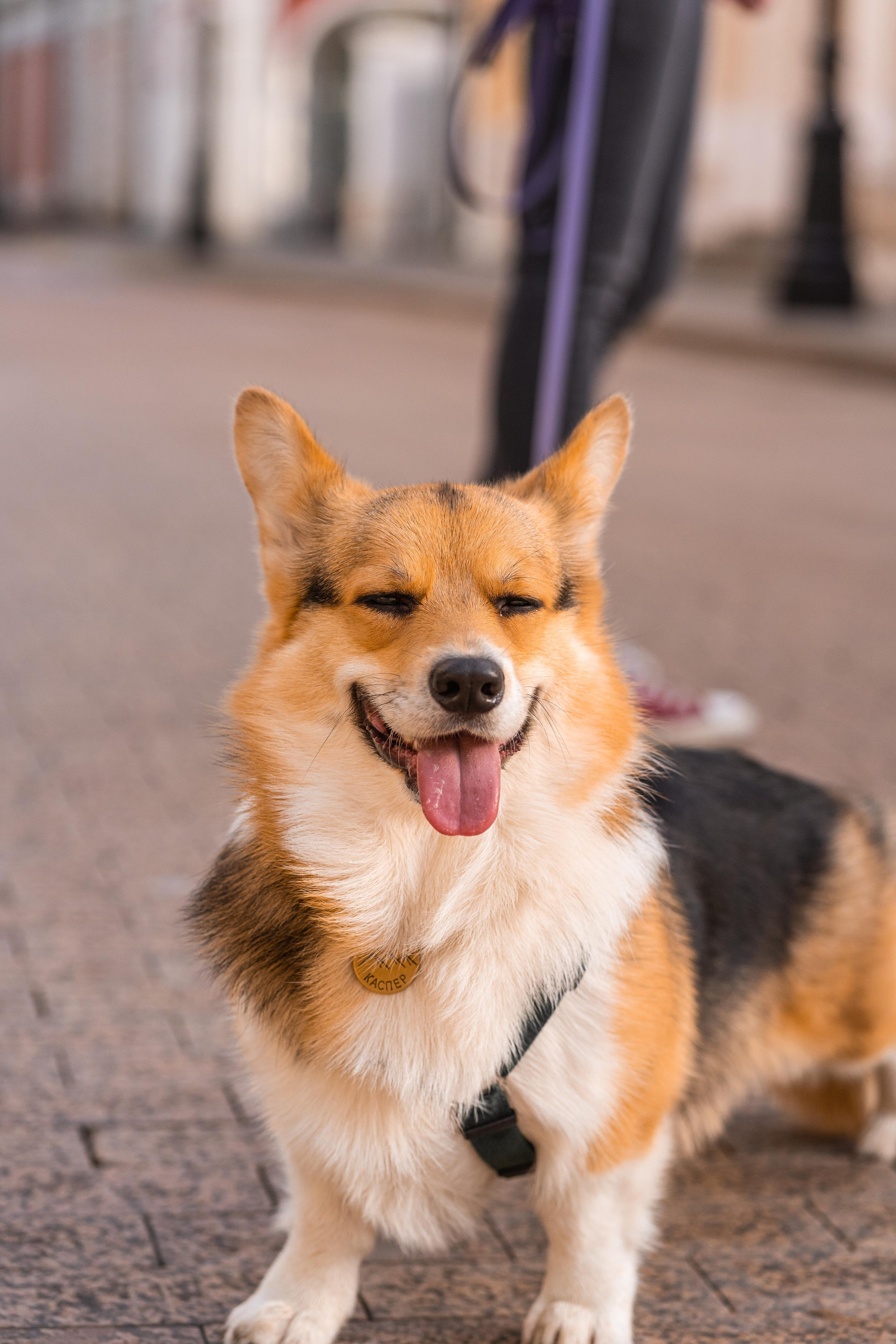 Полина и Каспер в Музеоне. Свадебный фотограф в Москве Анна Полушина