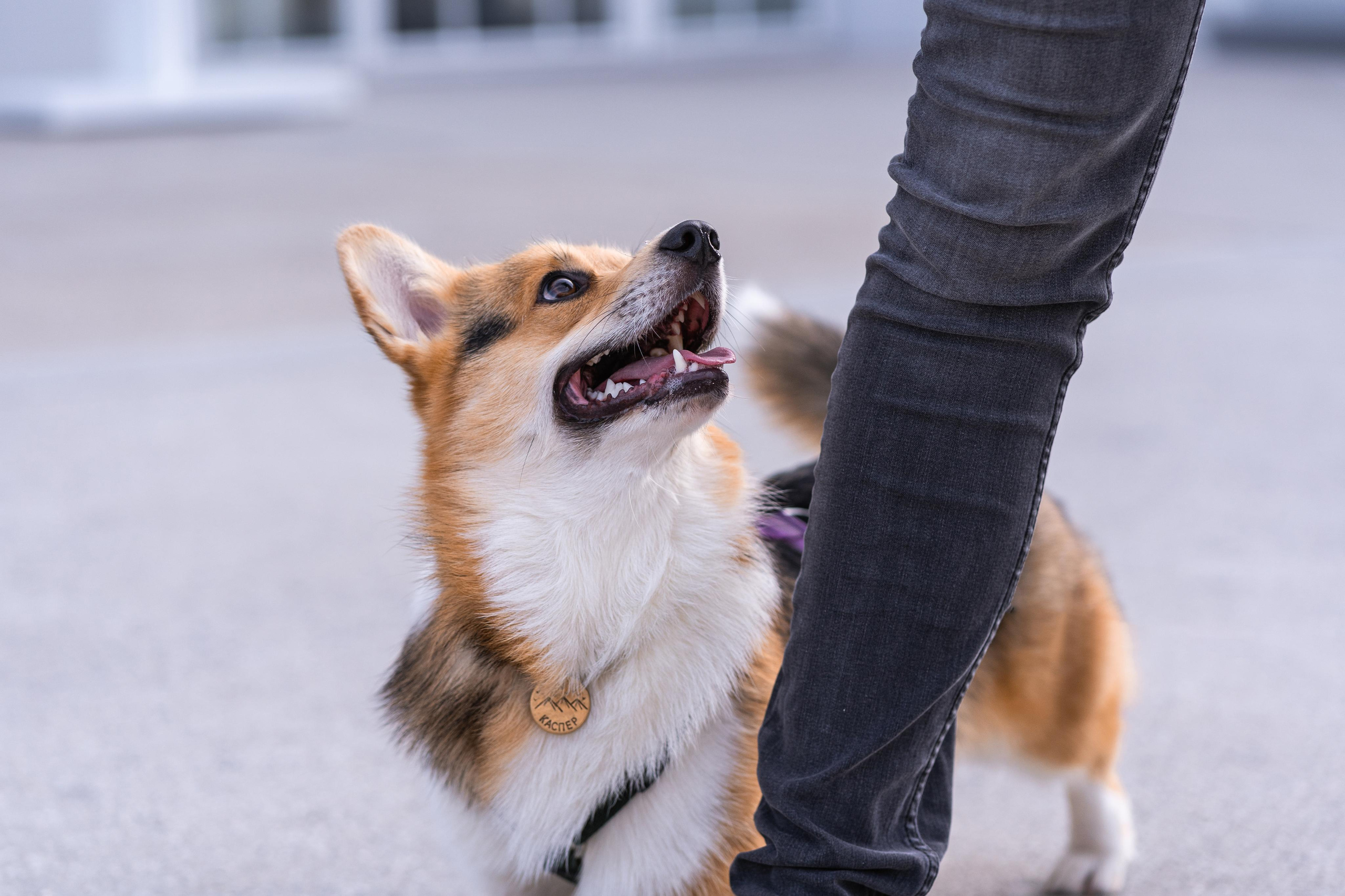 Полина и Каспер в Музеоне. Свадебный фотограф в Москве Анна Полушина