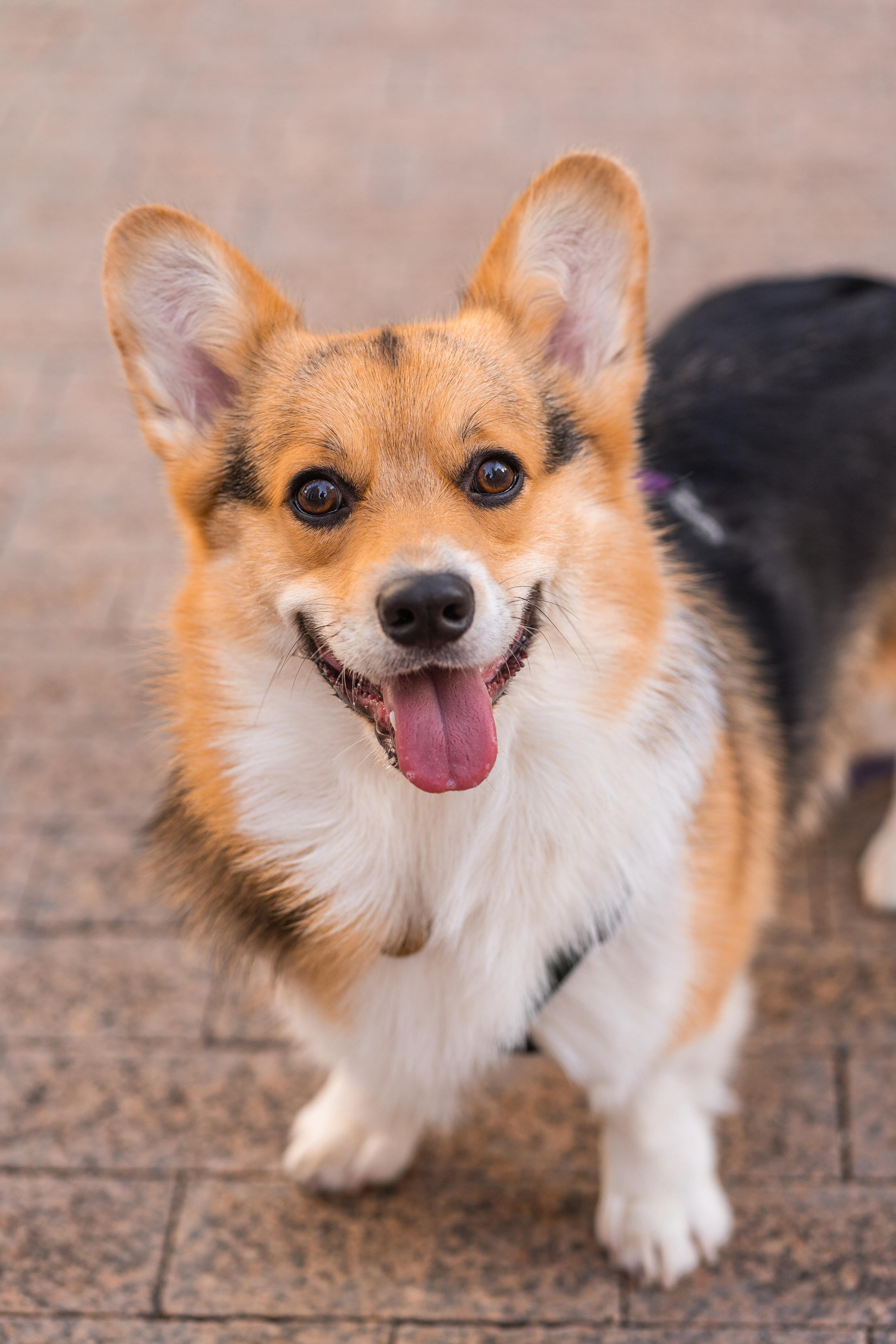 Полина и Каспер в Музеоне. Свадебный фотограф в Москве Анна Полушина
