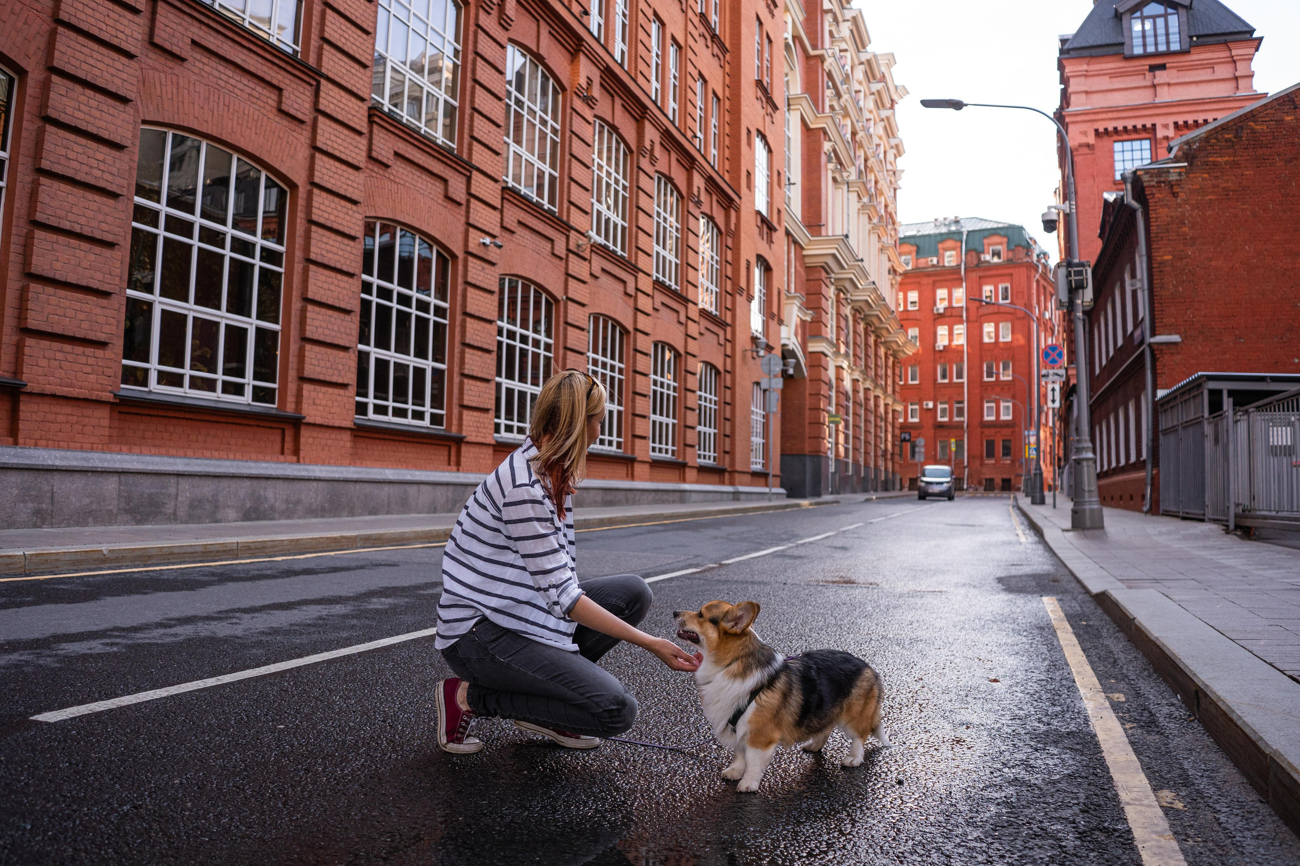 Полина и Каспер в Музеоне. Свадебный фотограф в Москве Анна Полушина