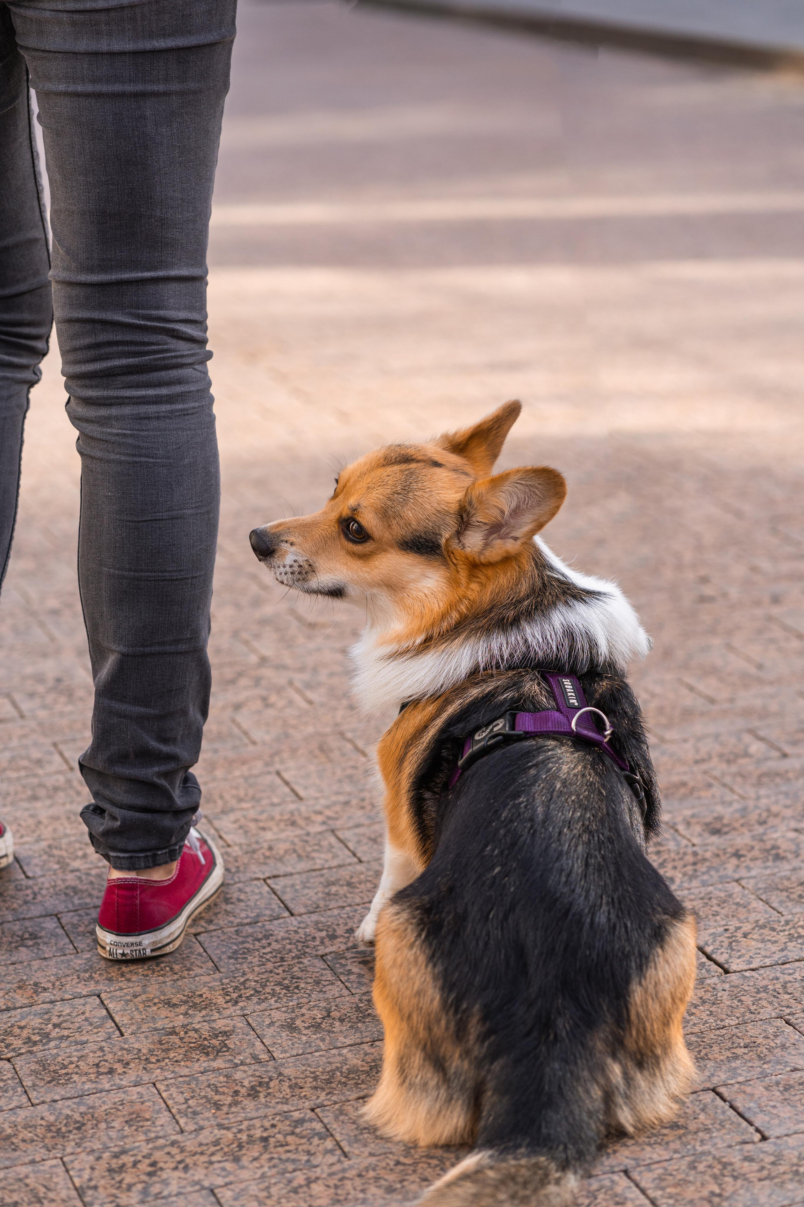 Полина и Каспер в Музеоне. Свадебный фотограф в Москве Анна Полушина