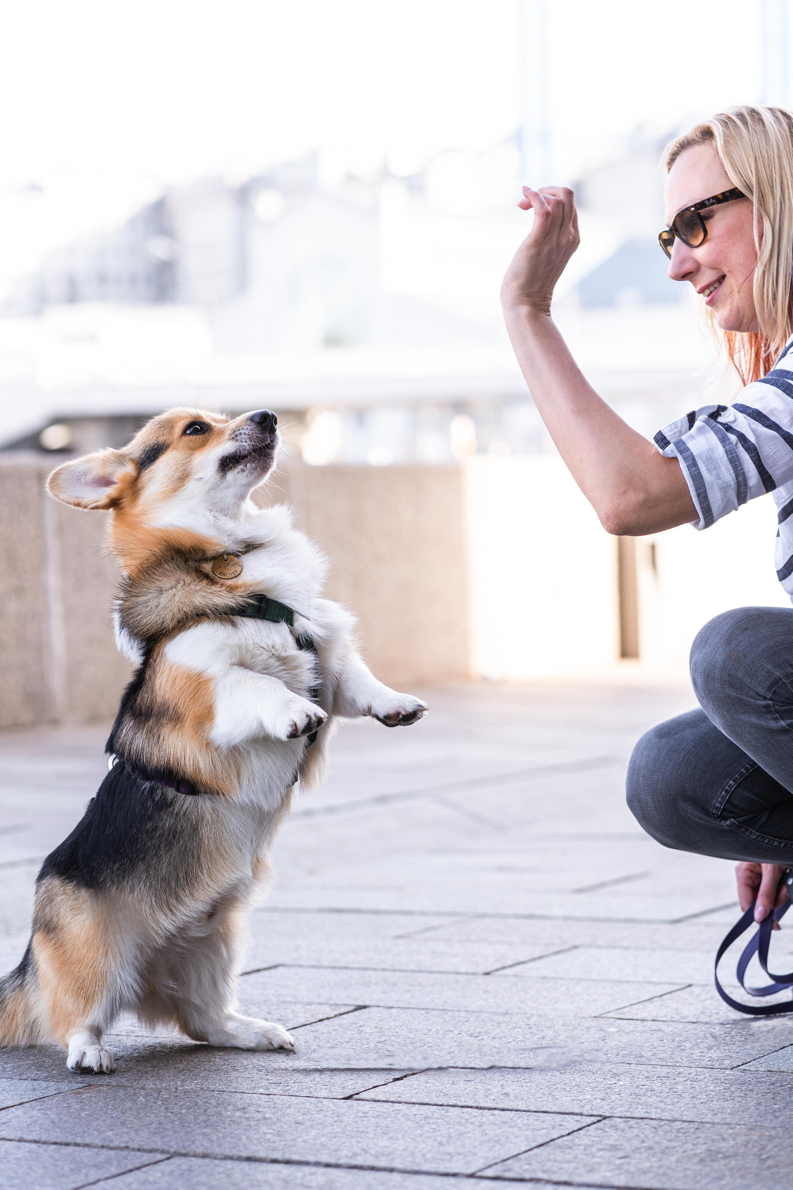 Полина и Каспер в Музеоне. Свадебный фотограф в Москве Анна Полушина