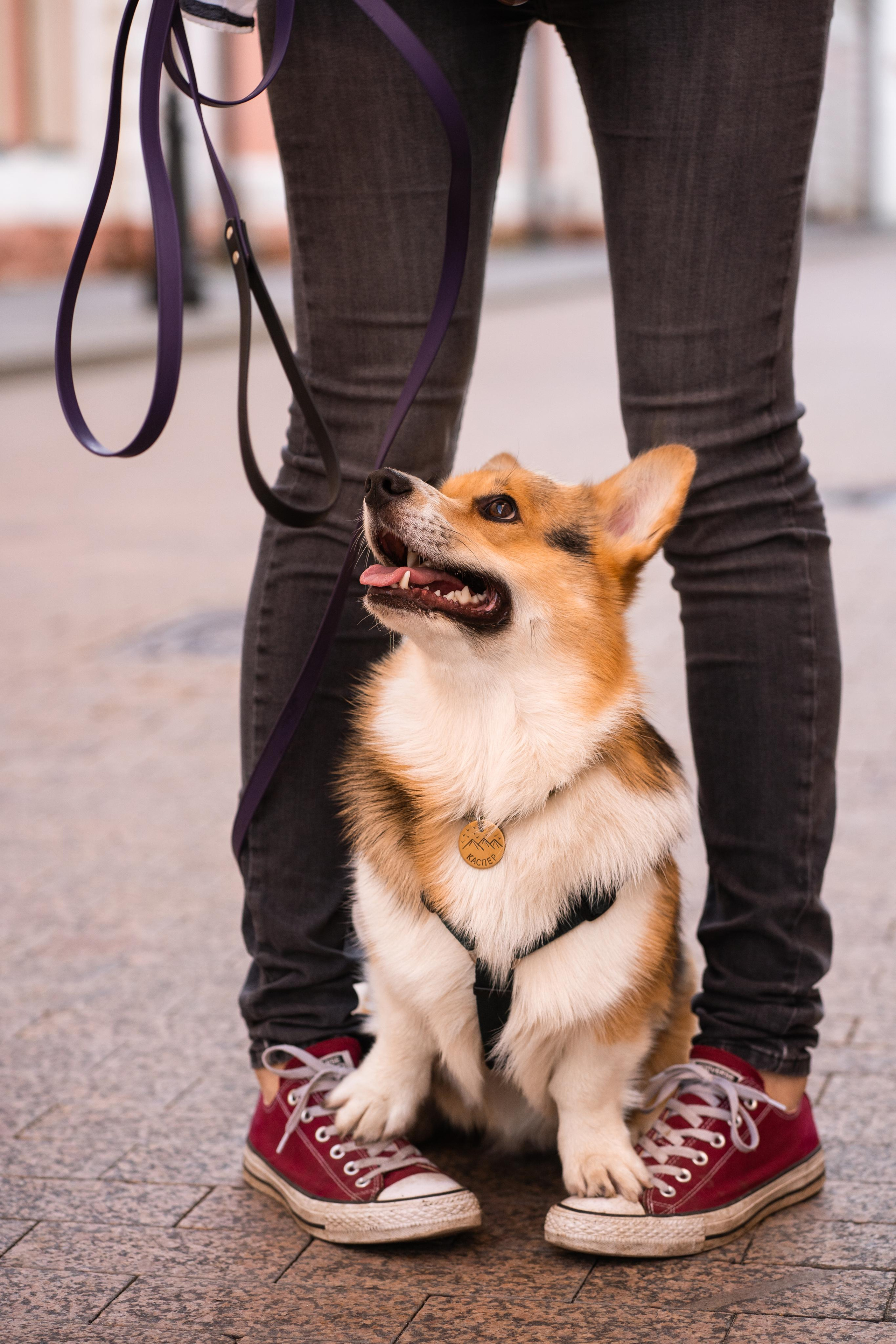 Полина и Каспер в Музеоне. Свадебный фотограф в Москве Анна Полушина