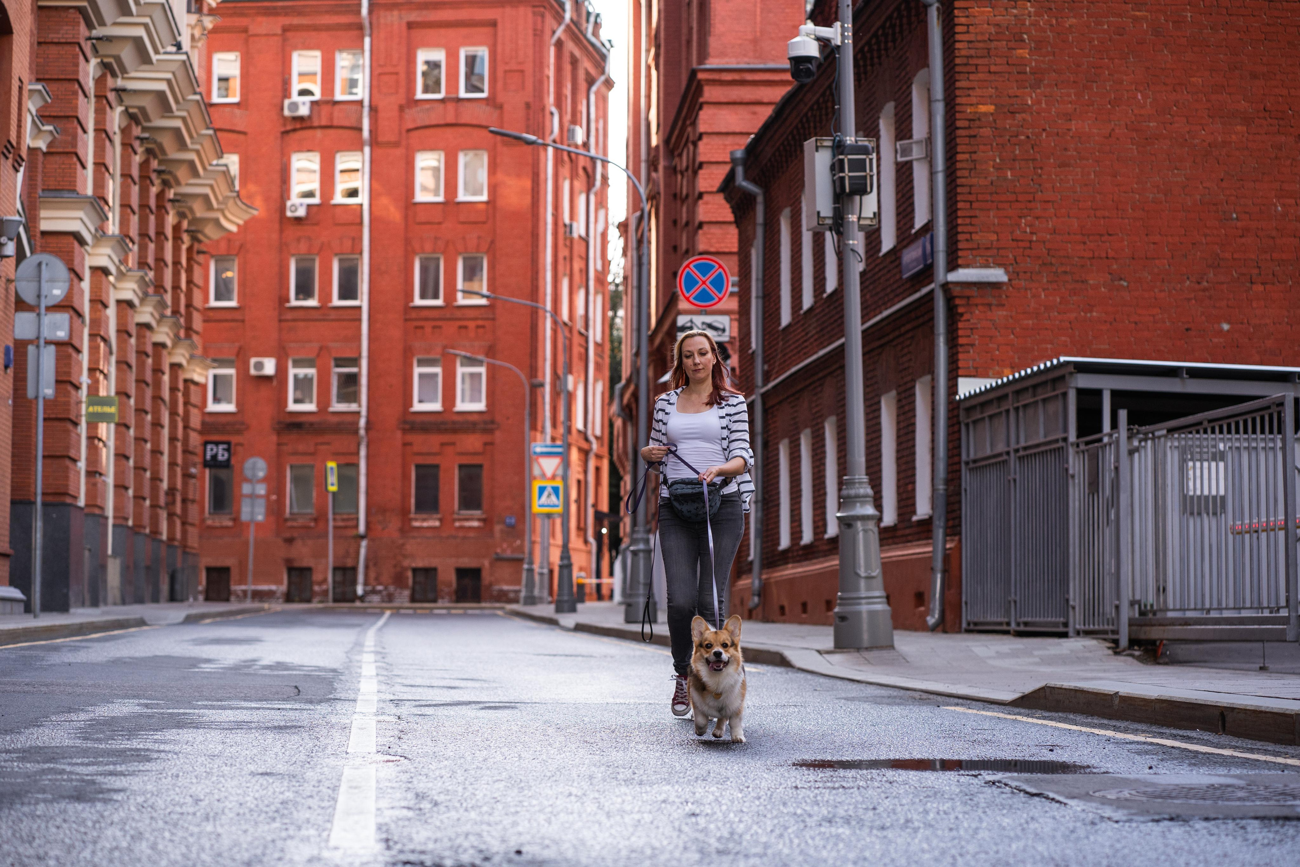 Полина и Каспер в Музеоне. Свадебный фотограф в Москве Анна Полушина