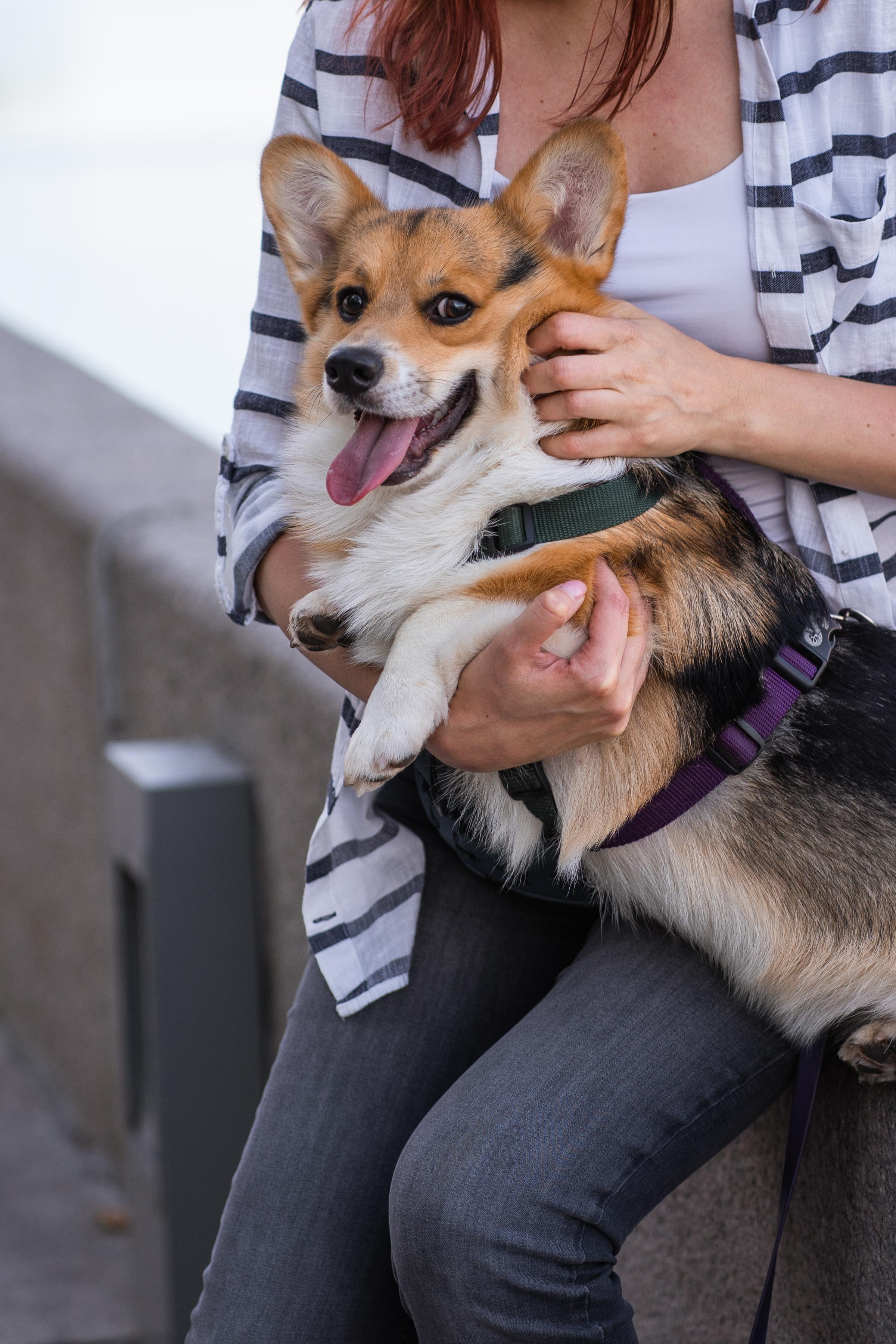 Полина и Каспер в Музеоне. Свадебный фотограф в Москве Анна Полушина