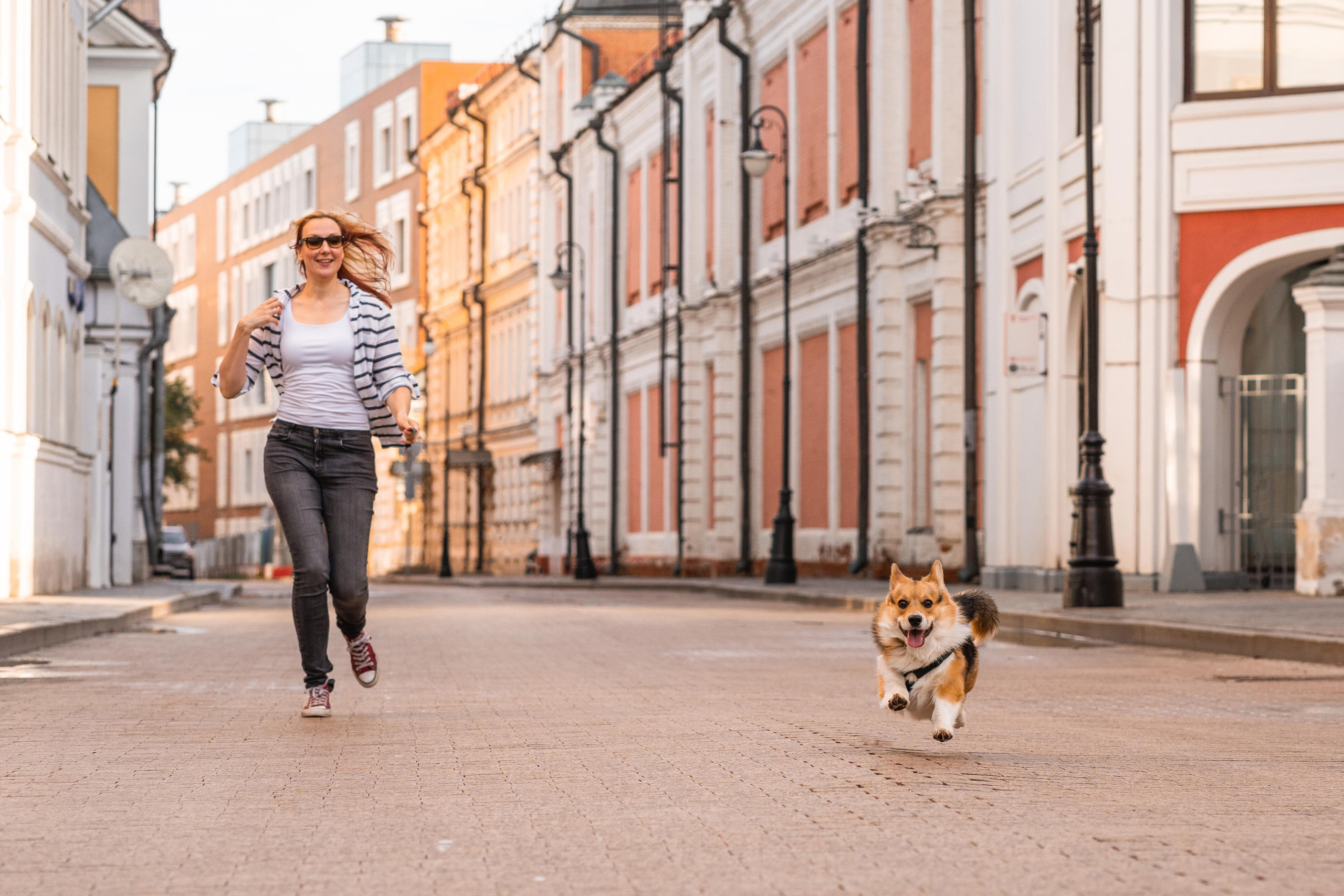 Полина и Каспер в Музеоне. Свадебный фотограф в Москве Анна Полушина