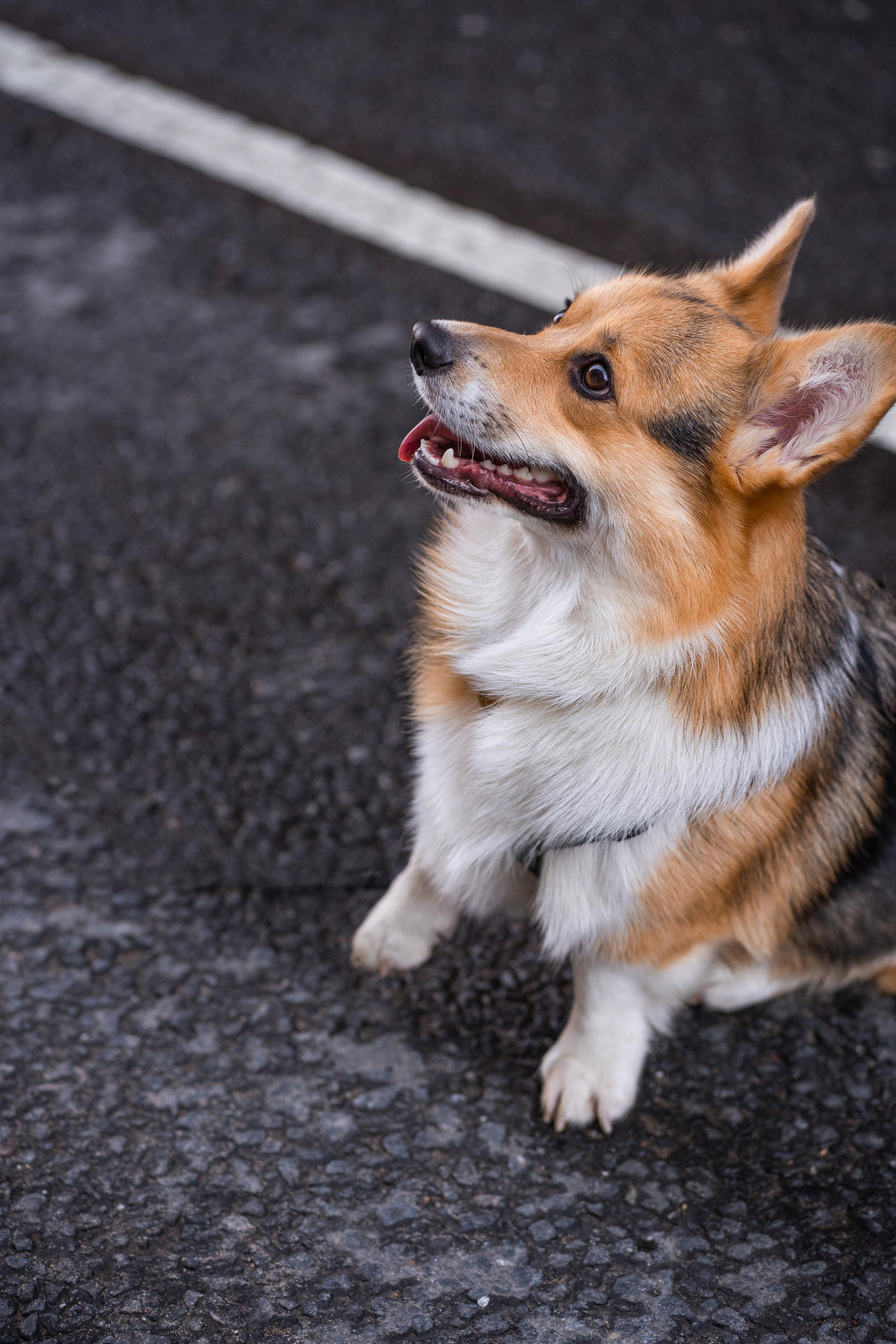 Полина и Каспер в Музеоне. Свадебный фотограф в Москве Анна Полушина