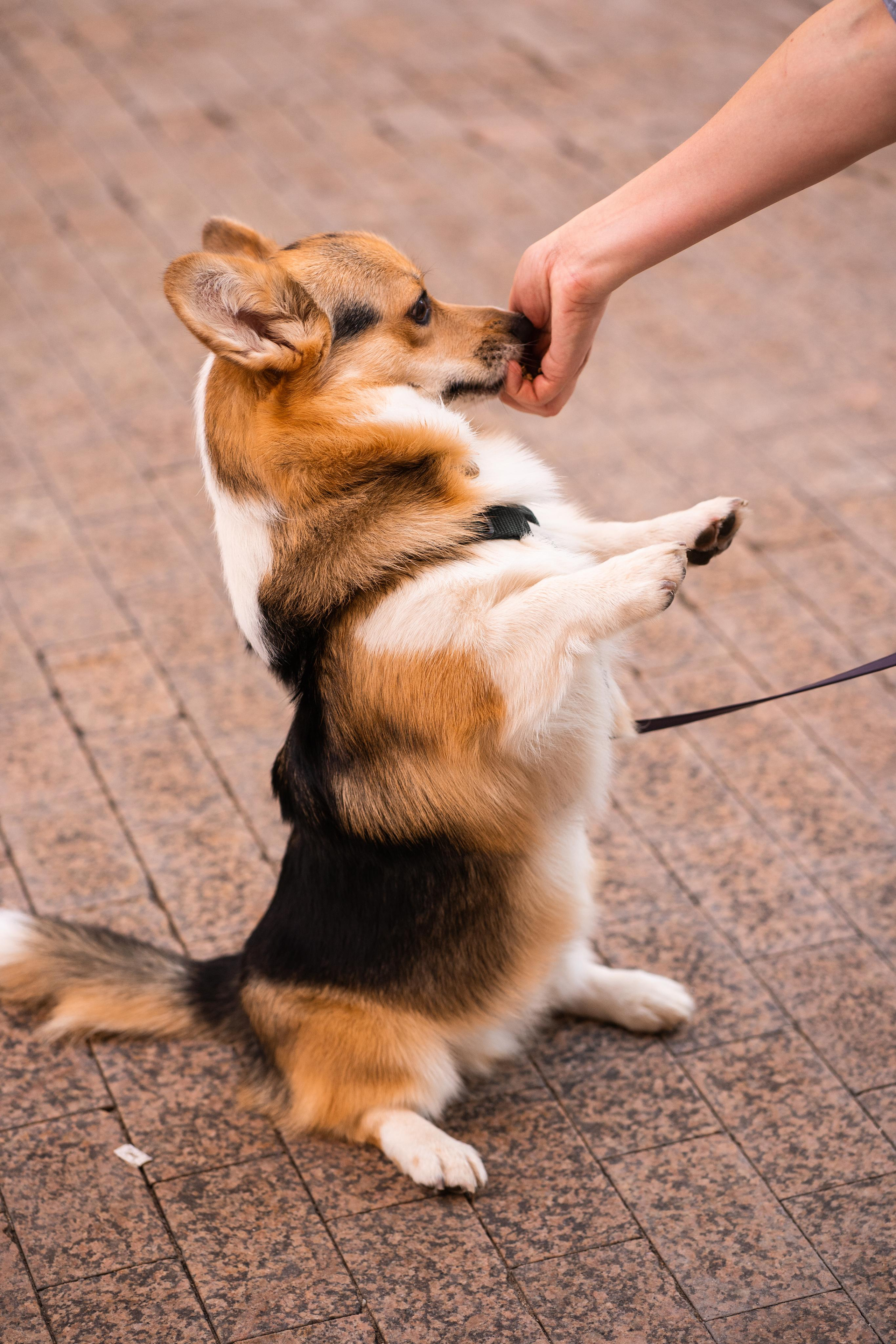 Полина и Каспер в Музеоне. Свадебный фотограф в Москве Анна Полушина