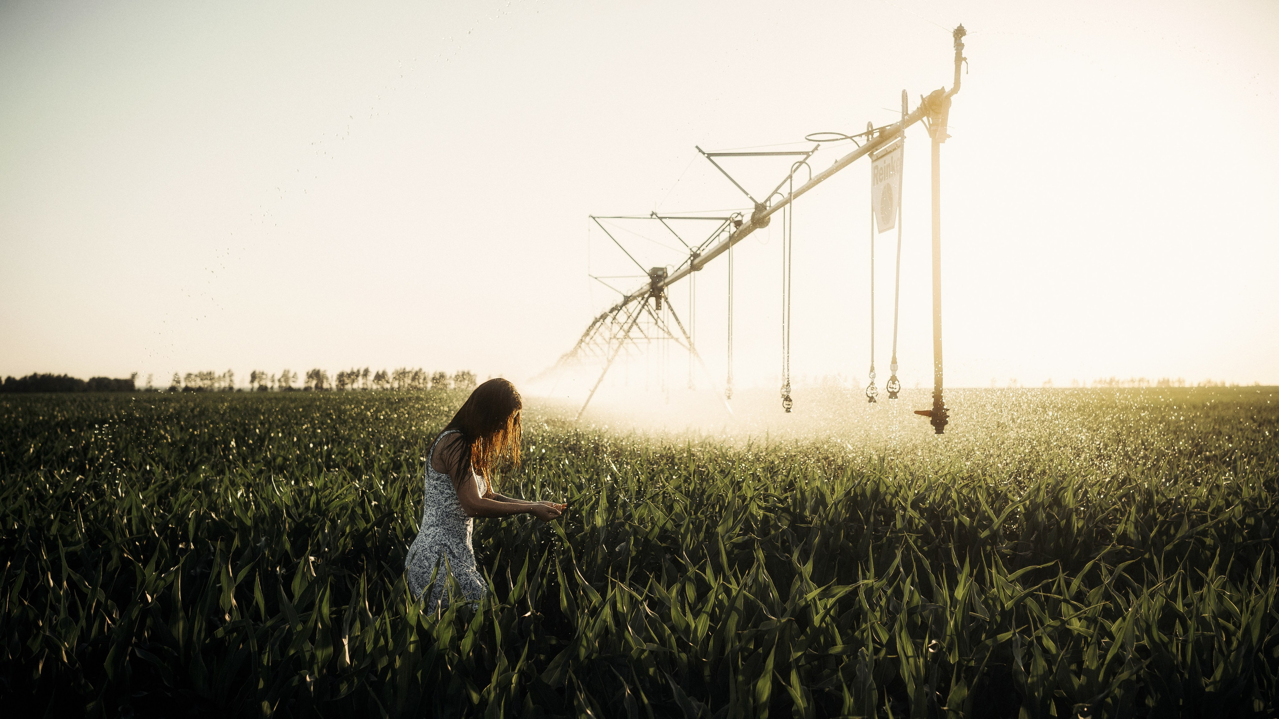 Индивидуальная фотосессия. Свадебный и репортажный фотограф в Воронеже Роман Янко