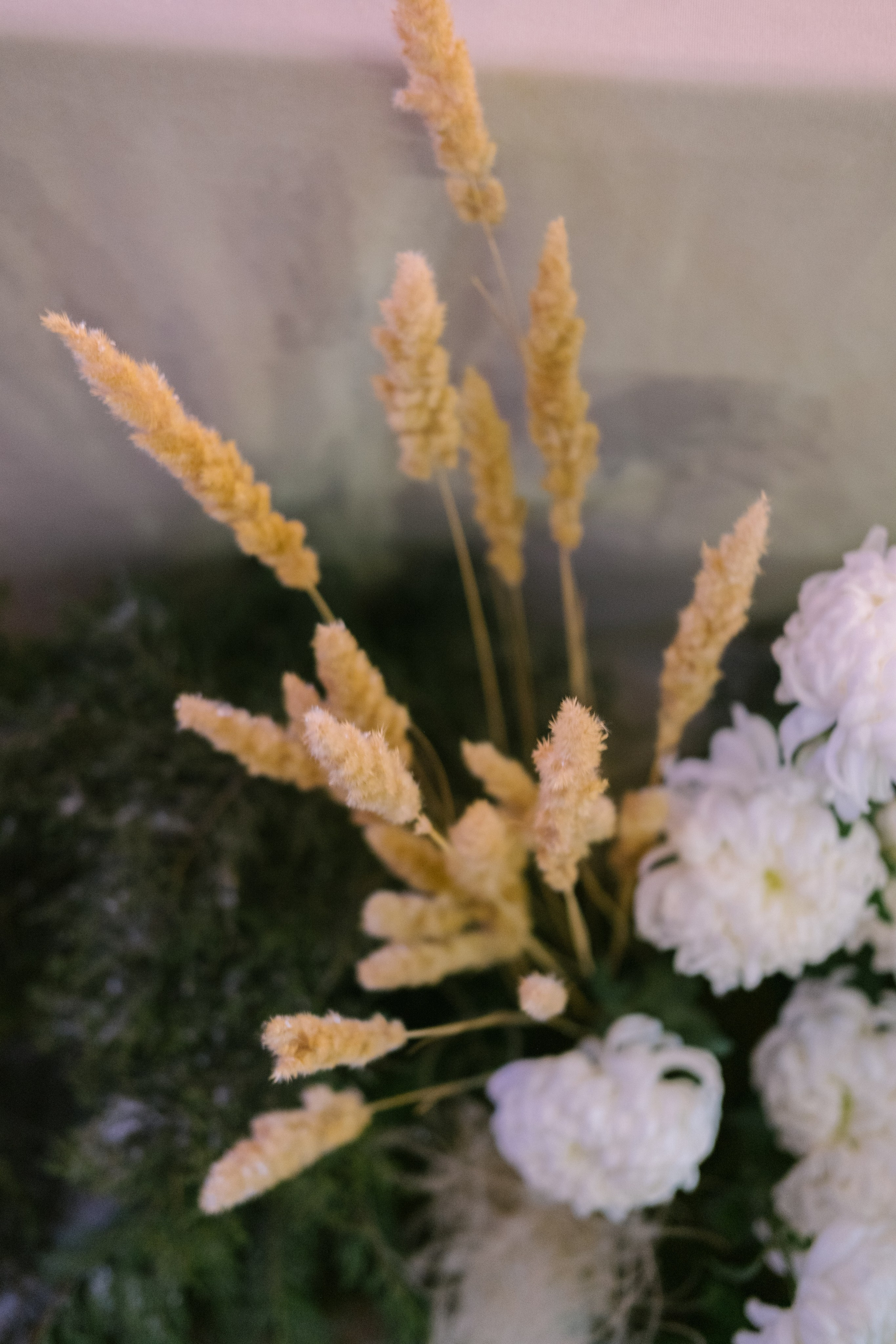 Алёна / Дмитрий. Свадебный Видеограф Фотограф в Сочи