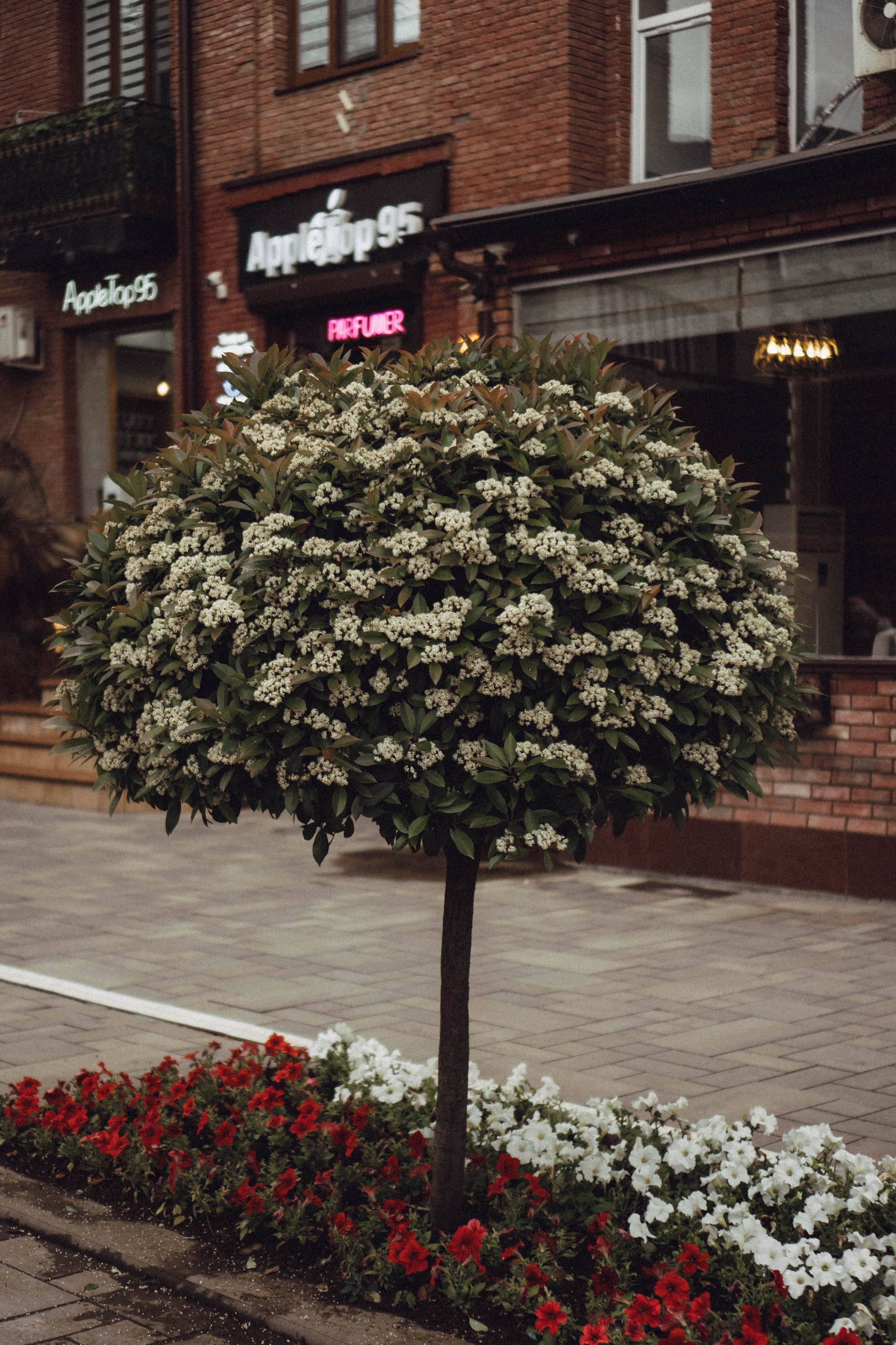 Кавказ. Профессиональный фотограф, Санкт-Петербург — Виктория Богомолова
