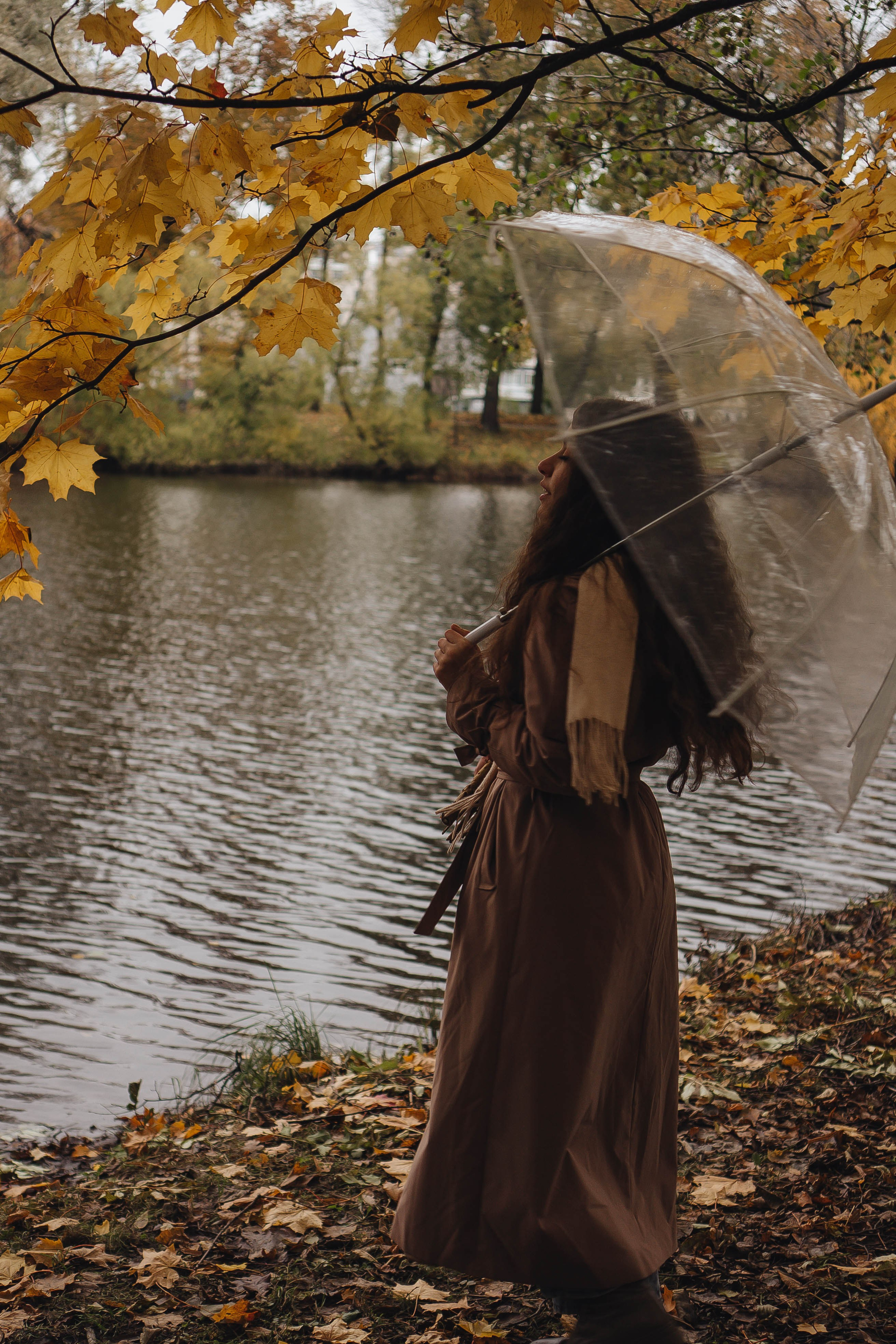 Осень. Профессиональный фотограф, Санкт-Петербург — Виктория Богомолова