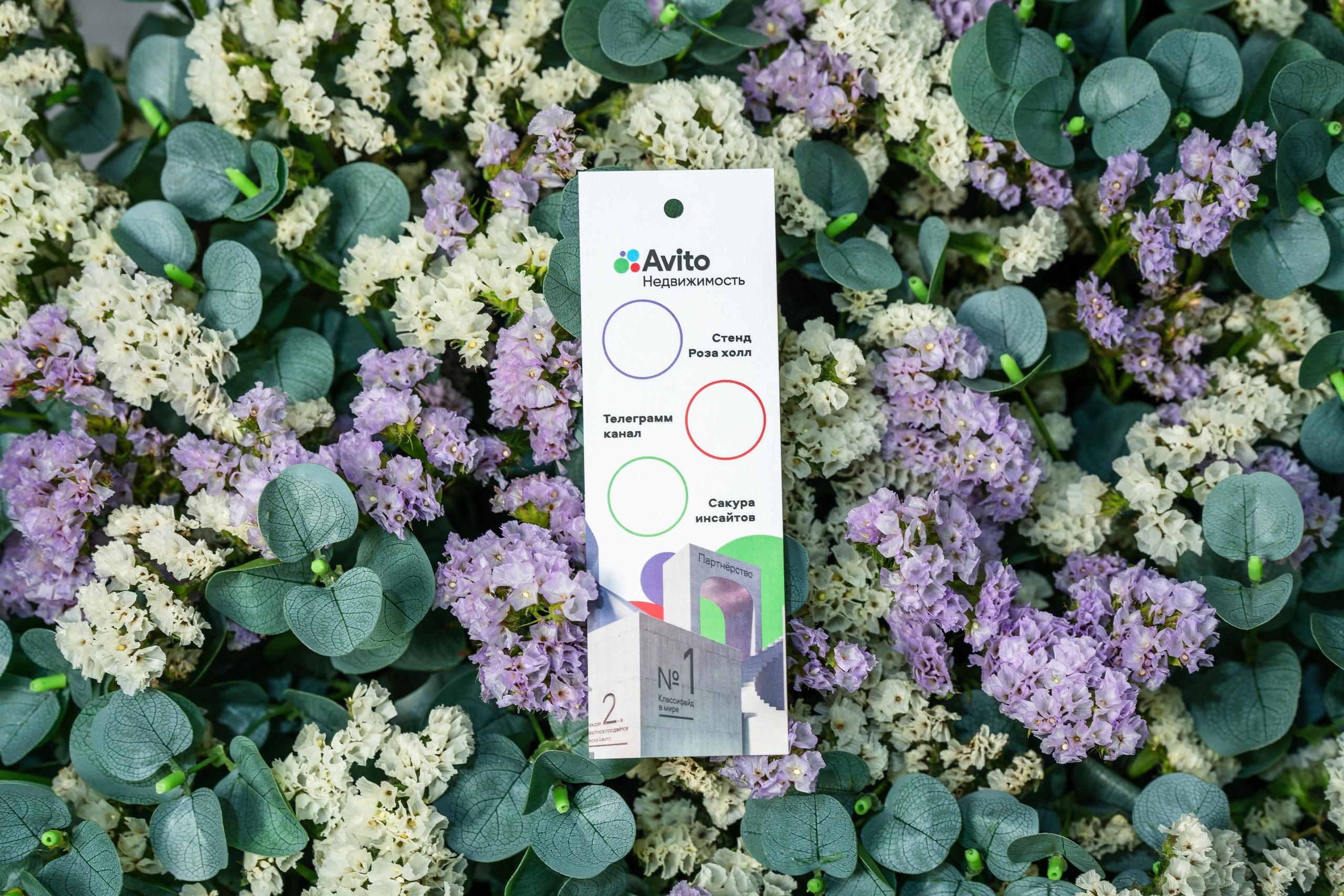 Форум Движение фотоотчет. Фотограф Сочи