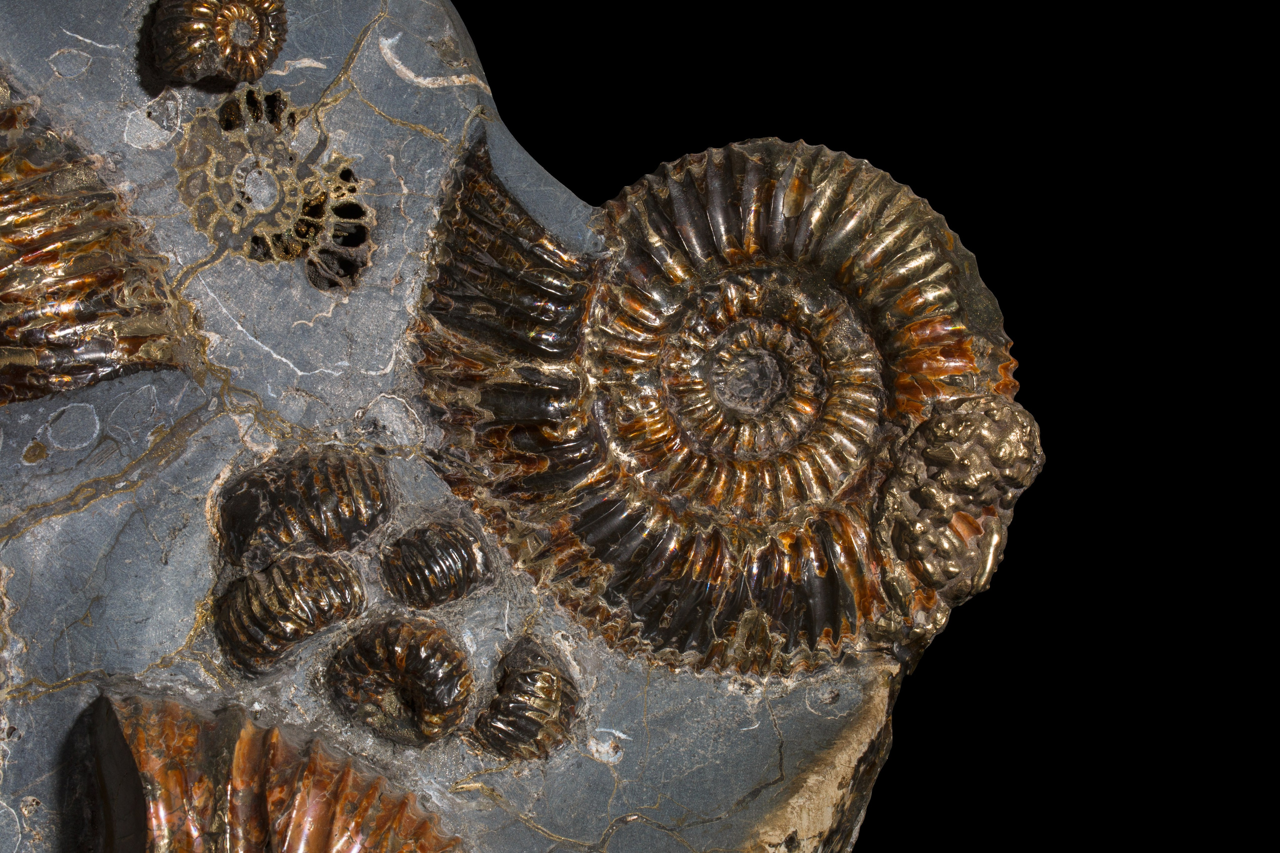 Профессиональная обработка натуральных камней, минералов и ископаемых | Студия SVITHART