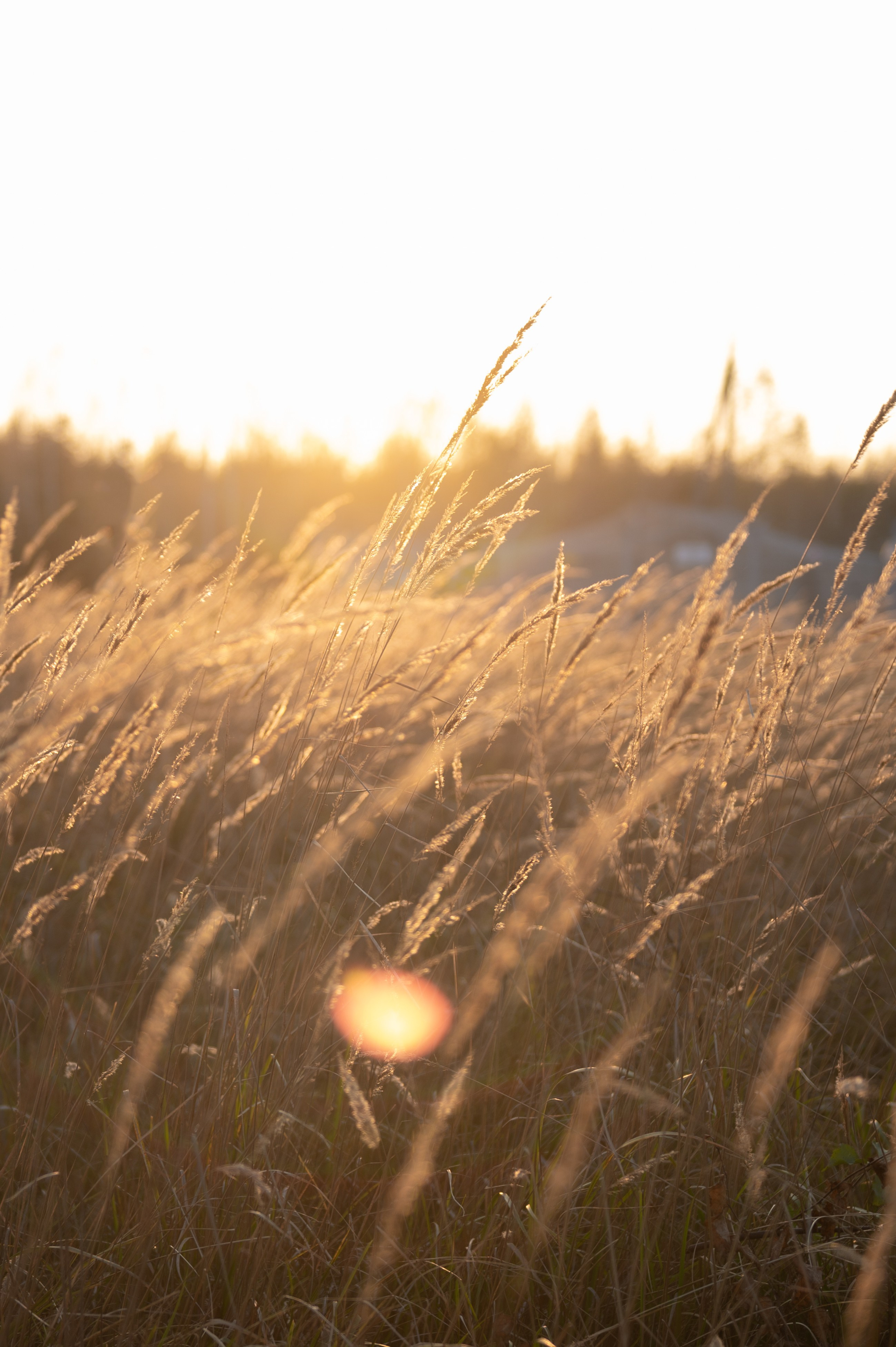 Золотой час Ксения. ТВОЁ ФОТО | ВИДЕО