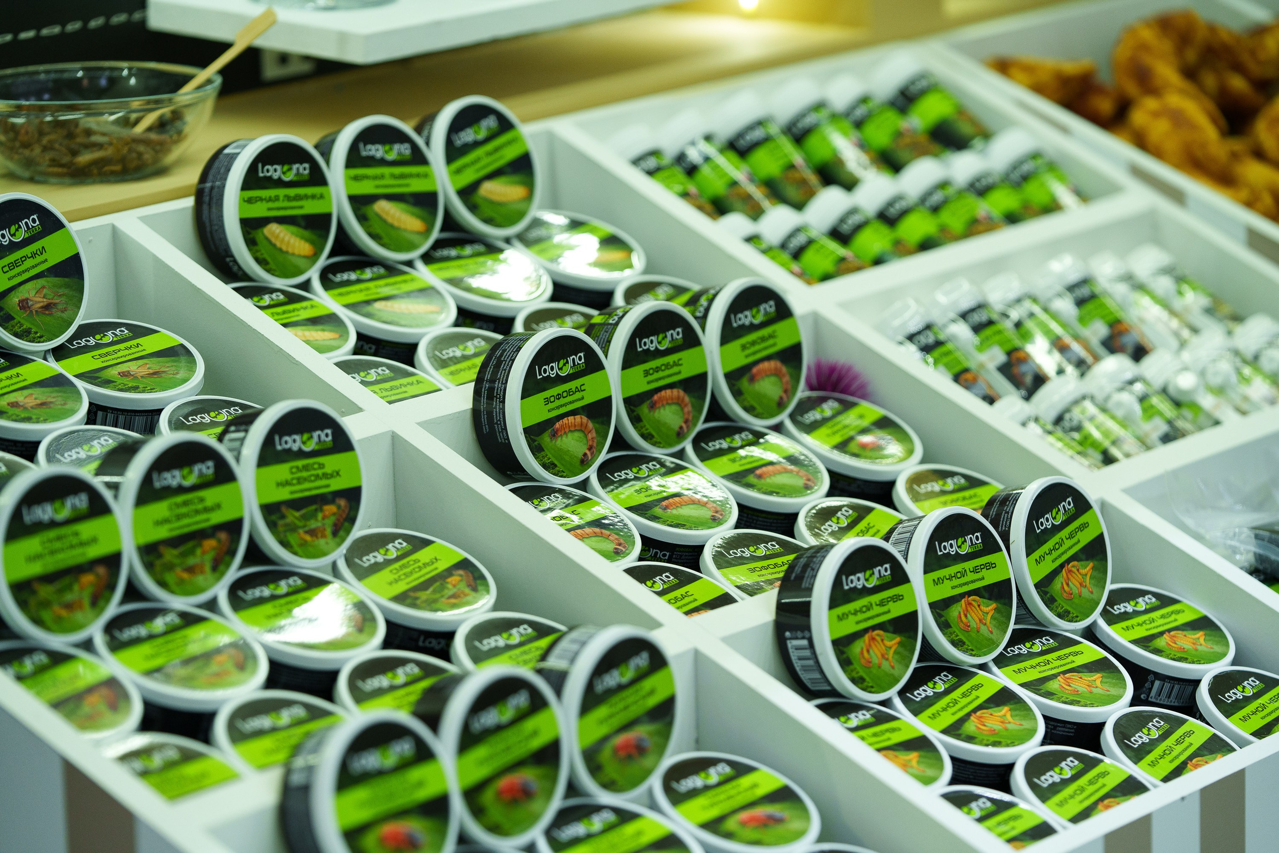 ParkZoo 2024. Профессиональное решение для частных лиц и бизнеса