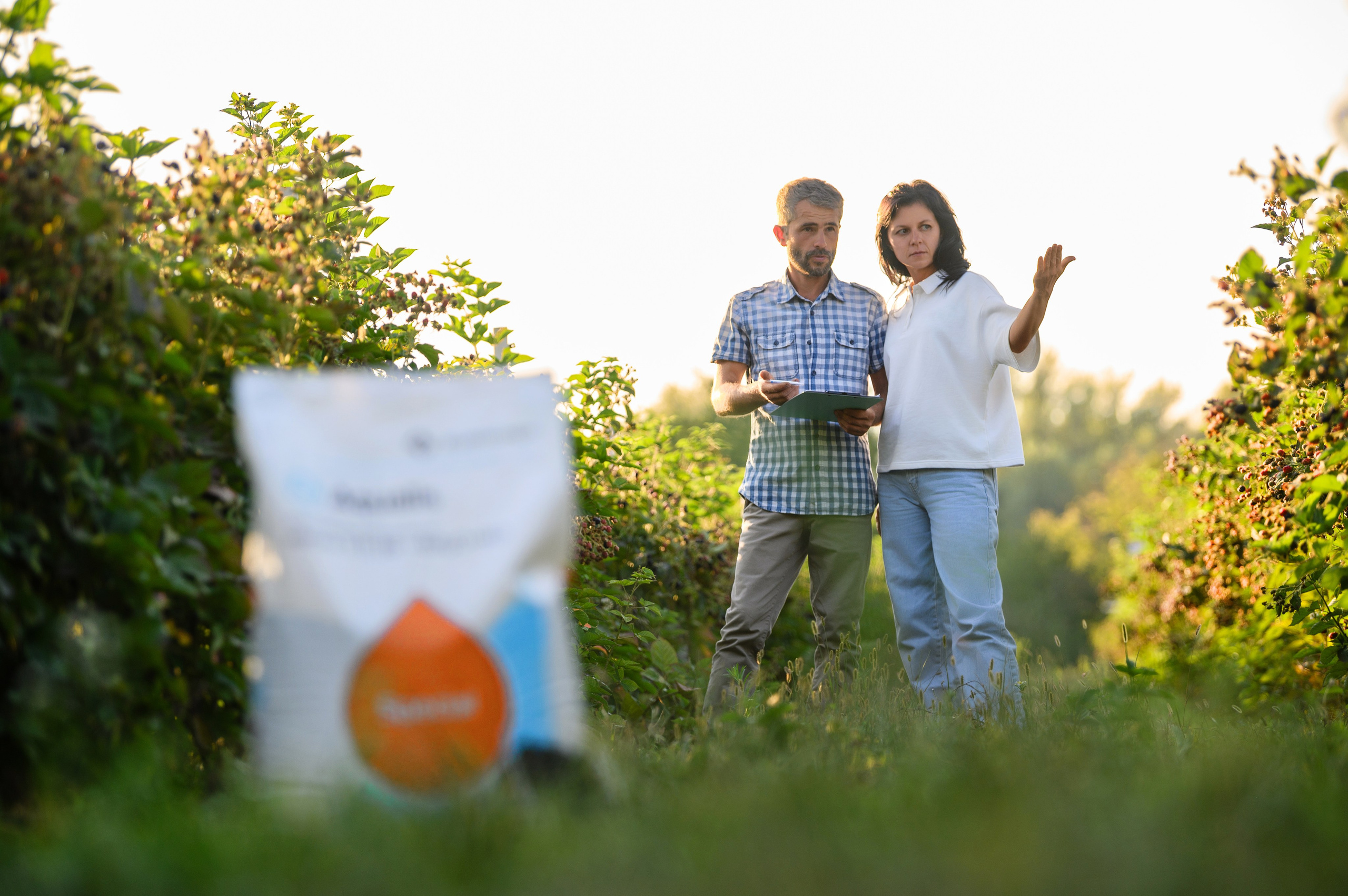 Проекты. Профессиональный фотограф Вячеслав Плацында | Липецк |