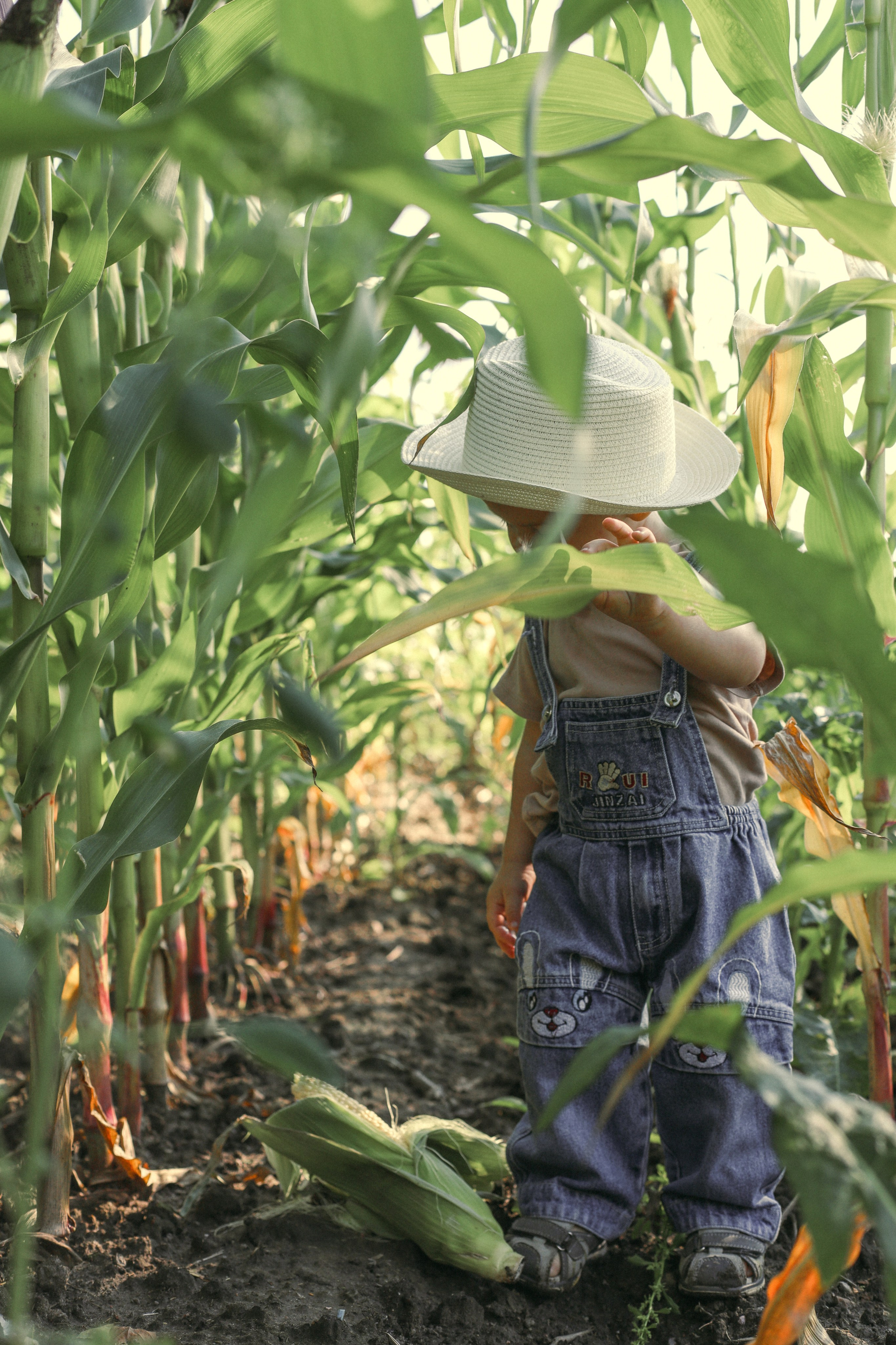 Фотопроекты. Семейный и детский фотограф в Санкт-Петербурге «Chilik»