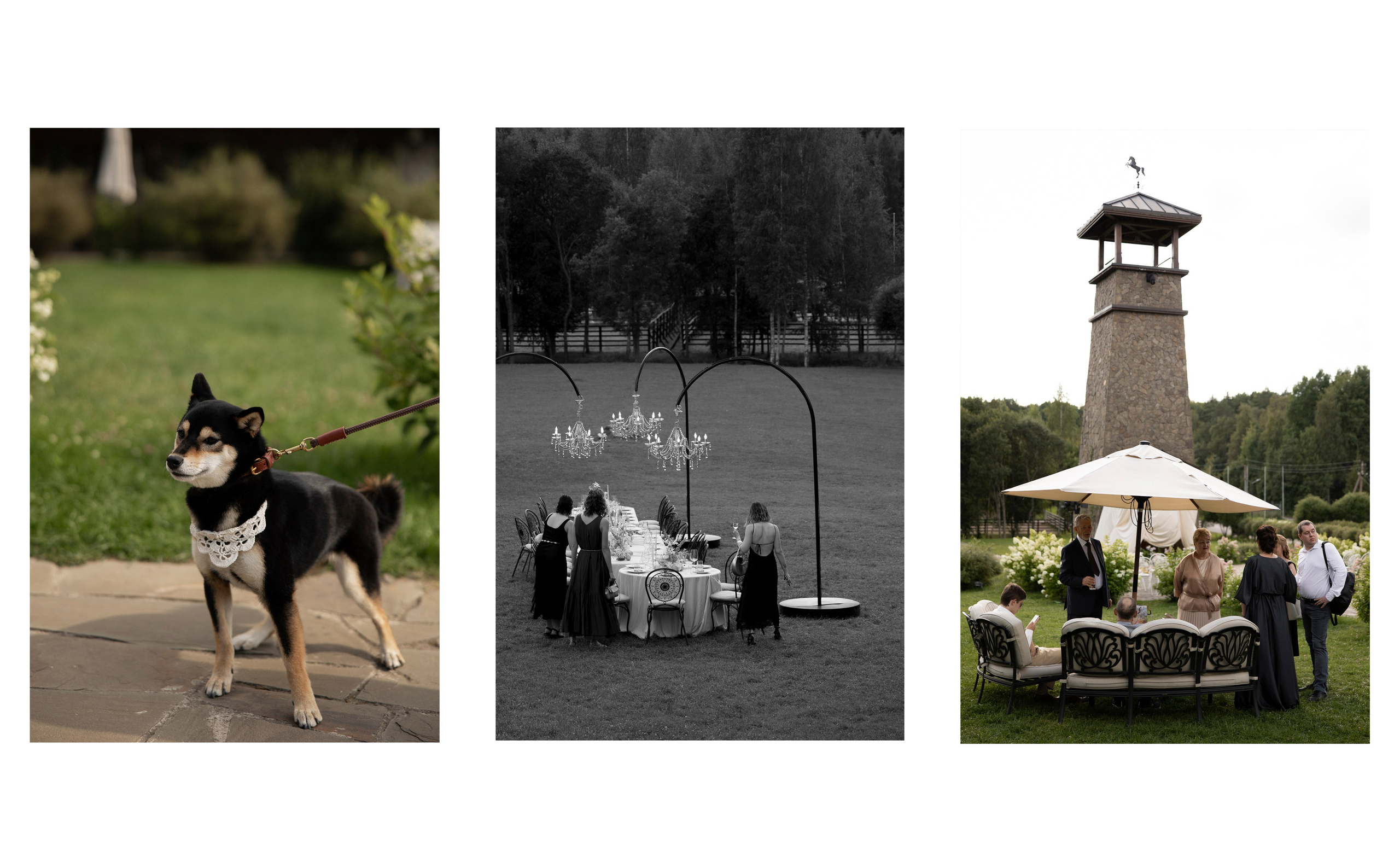 Ксения и Александр. Свадебный фотограф в Санкт-Петербурге Екатерина Евсеева