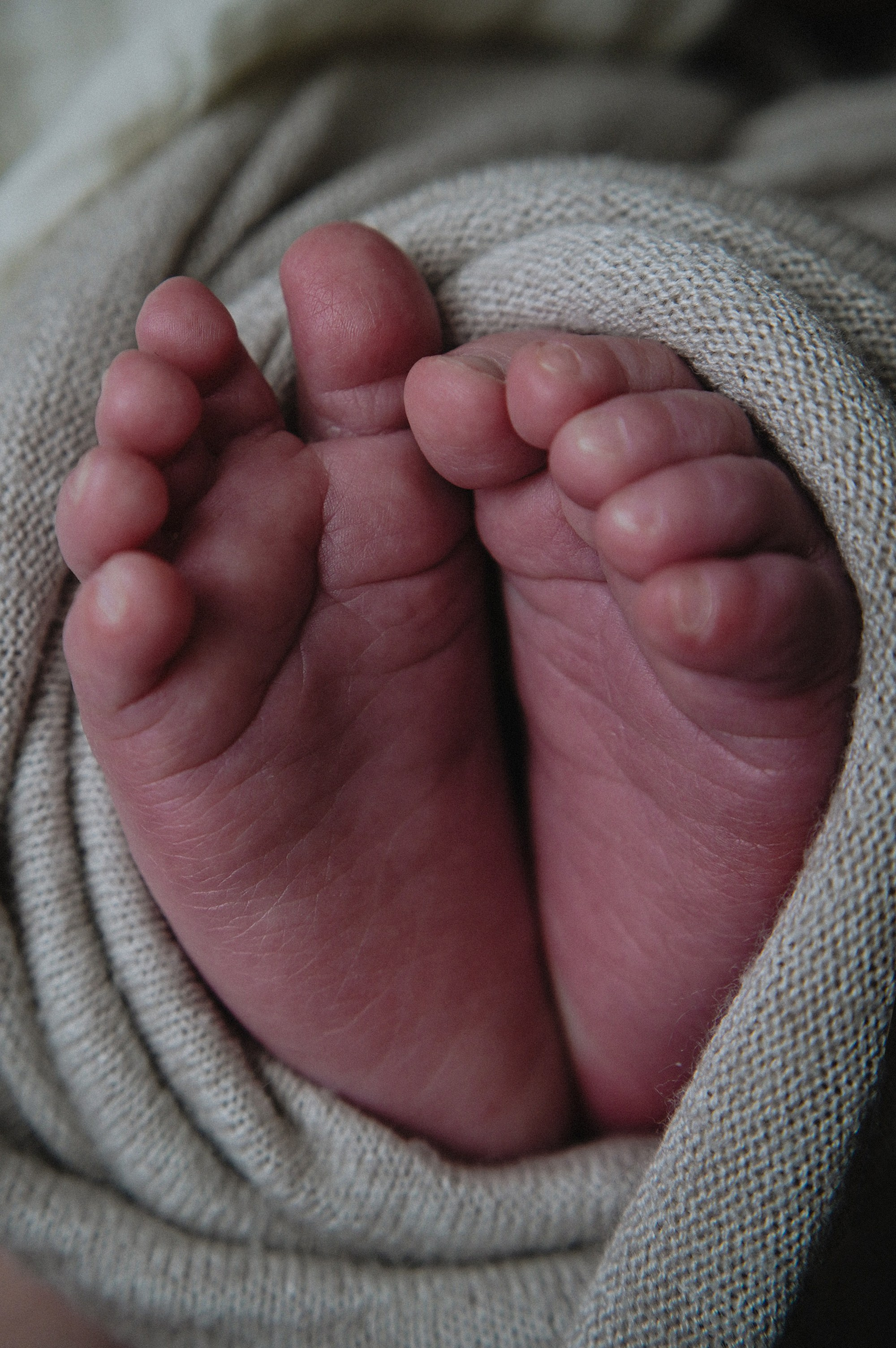 Давид. 04.02.2026. Фотограф СЕМЬИ и ДЕТСТВА в Краснодаре и Краснодарском крае Екатерина Москат