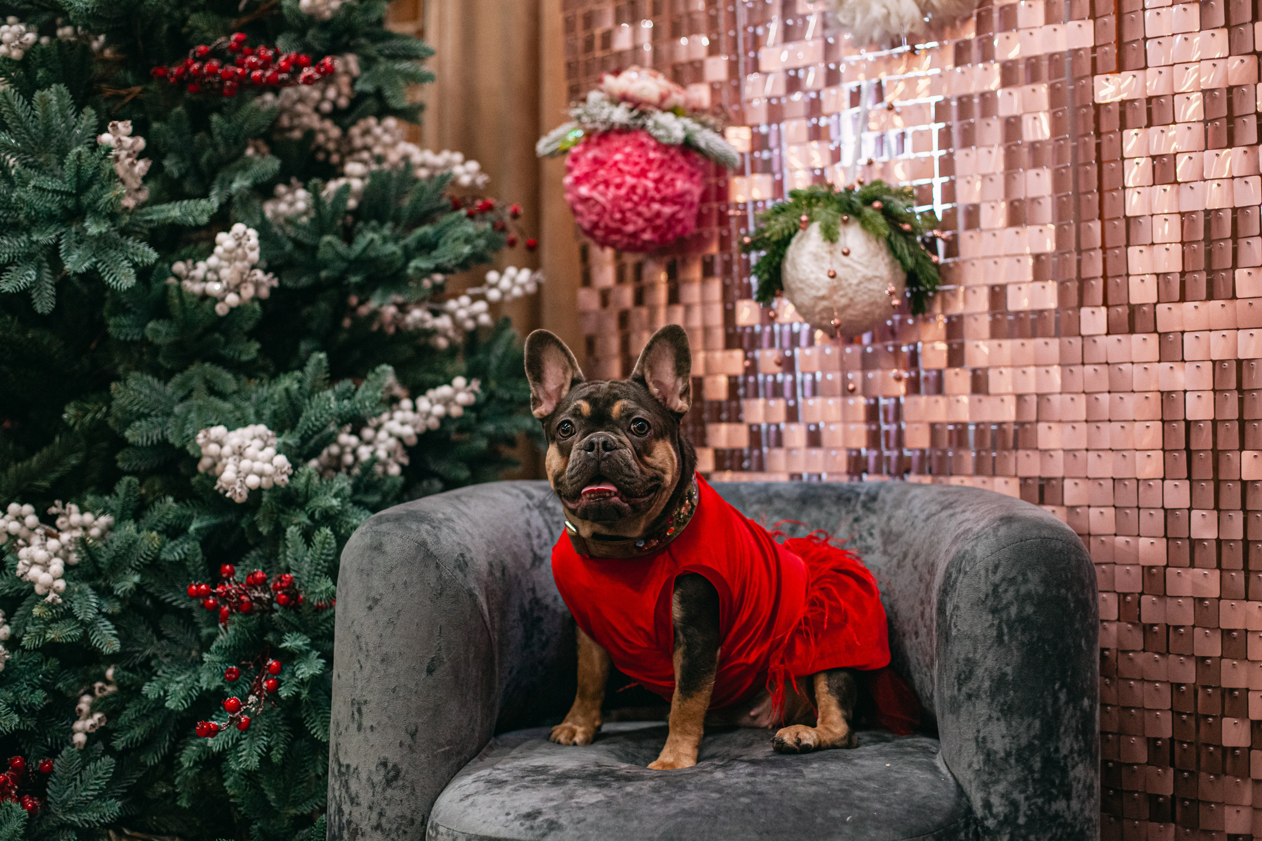 Фотограф-анималист Татьяна Степанова