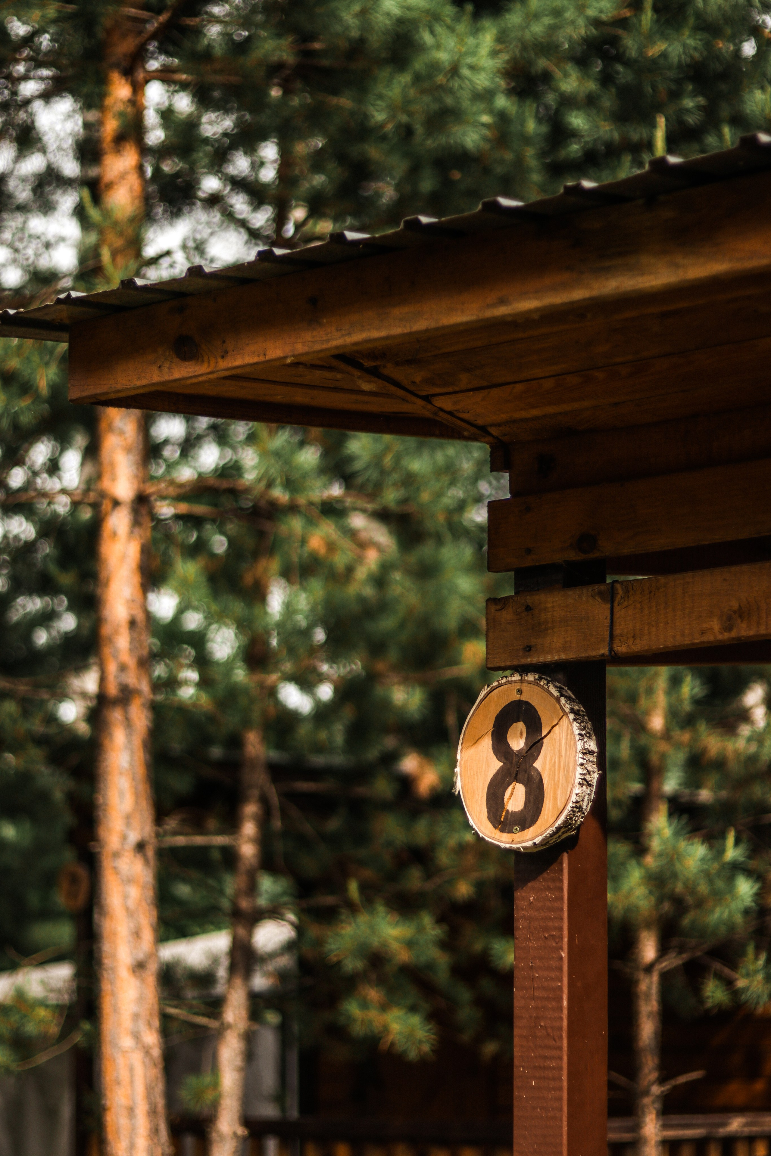 «Красный камень» база отдыха, респ. Алтай. Контент фотограф Дмитрий Борисов