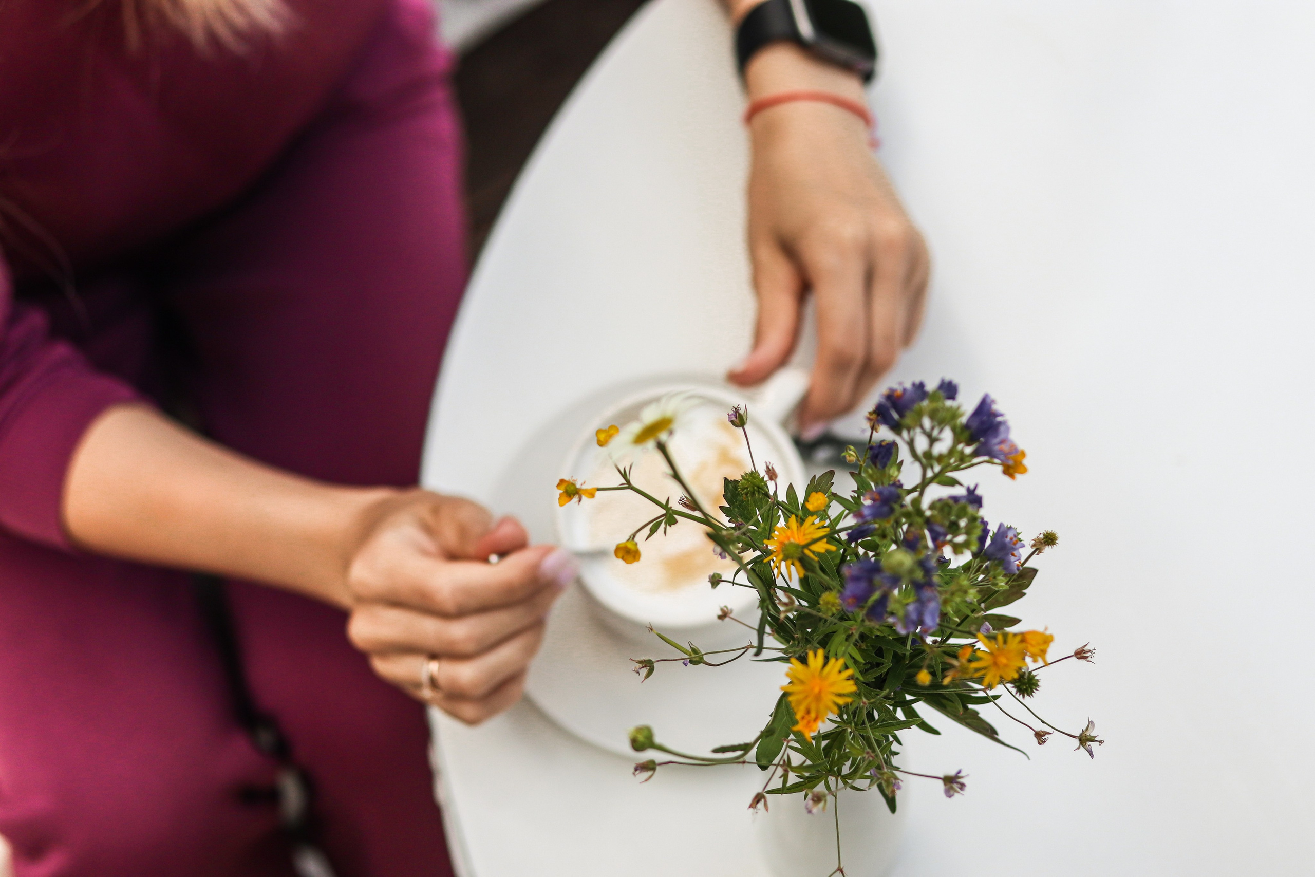 «Pinewood» парк-отель, респ. Алтай. Контент фотограф Дмитрий Борисов