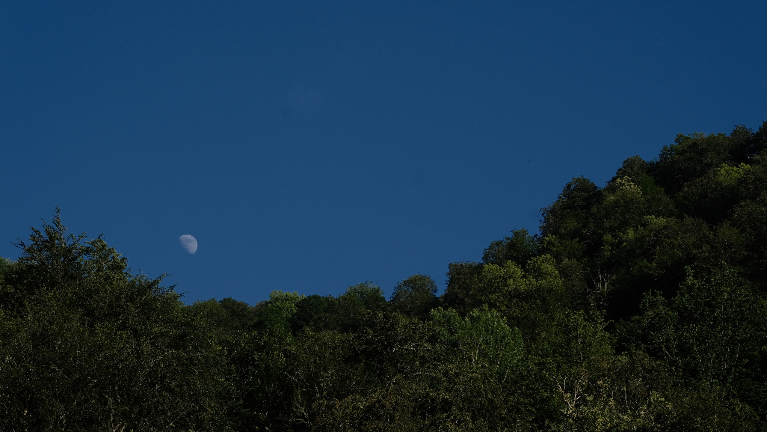 Сочи. Фотограф Сергей Красников