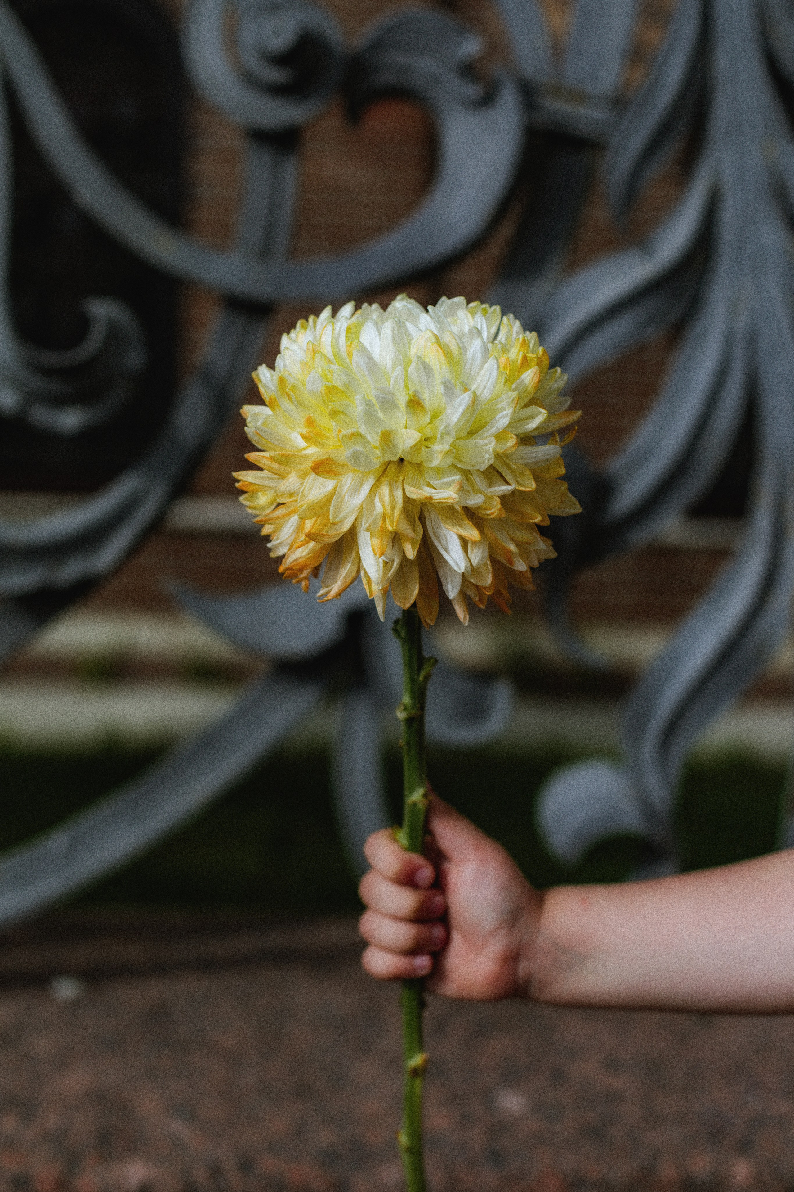 Дети&Цветы. Фотограф детей и подростков в Москве Таня Королева