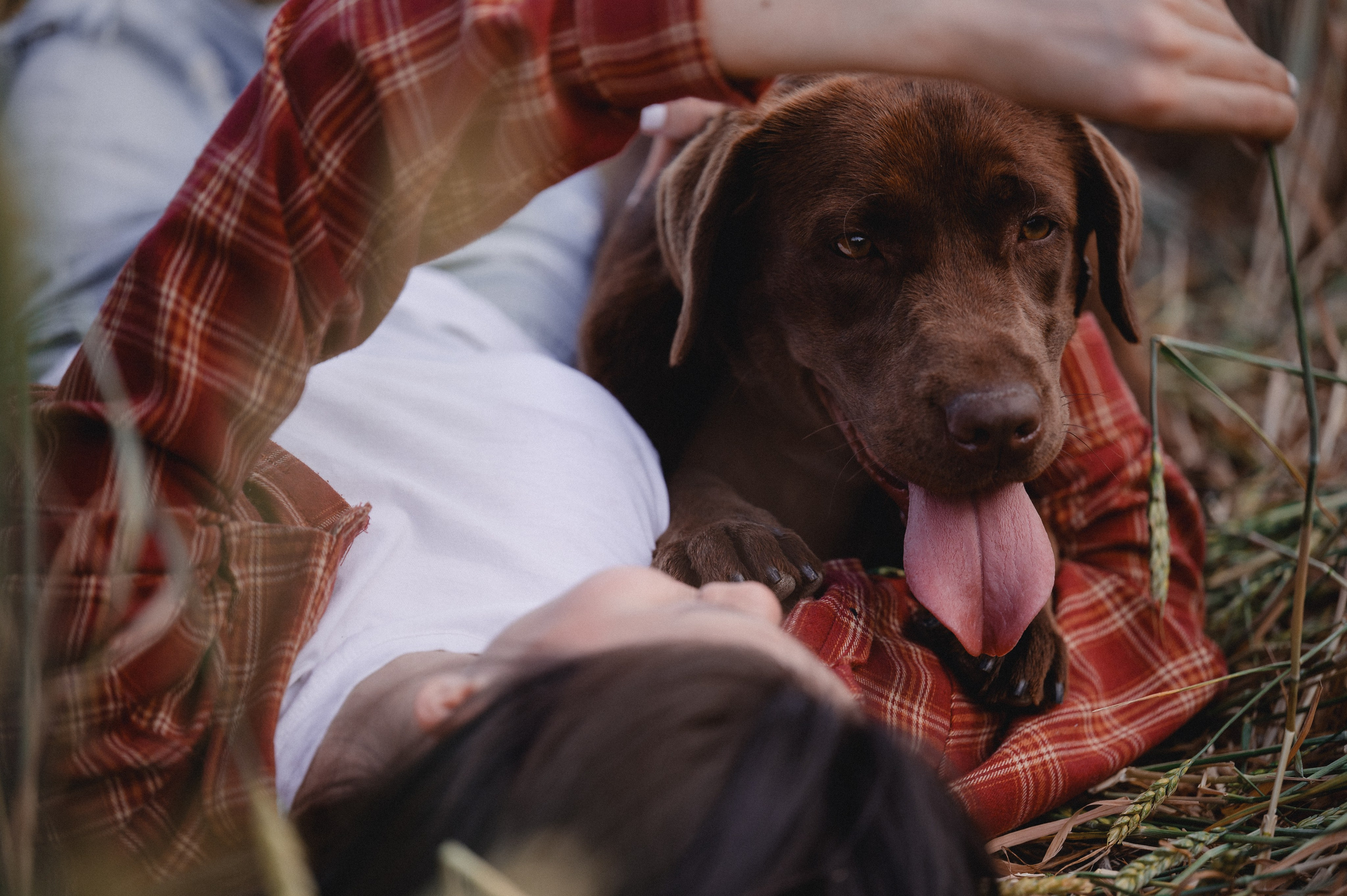 Анечка и Дэя. Фотограф в Ростове —на — Дону