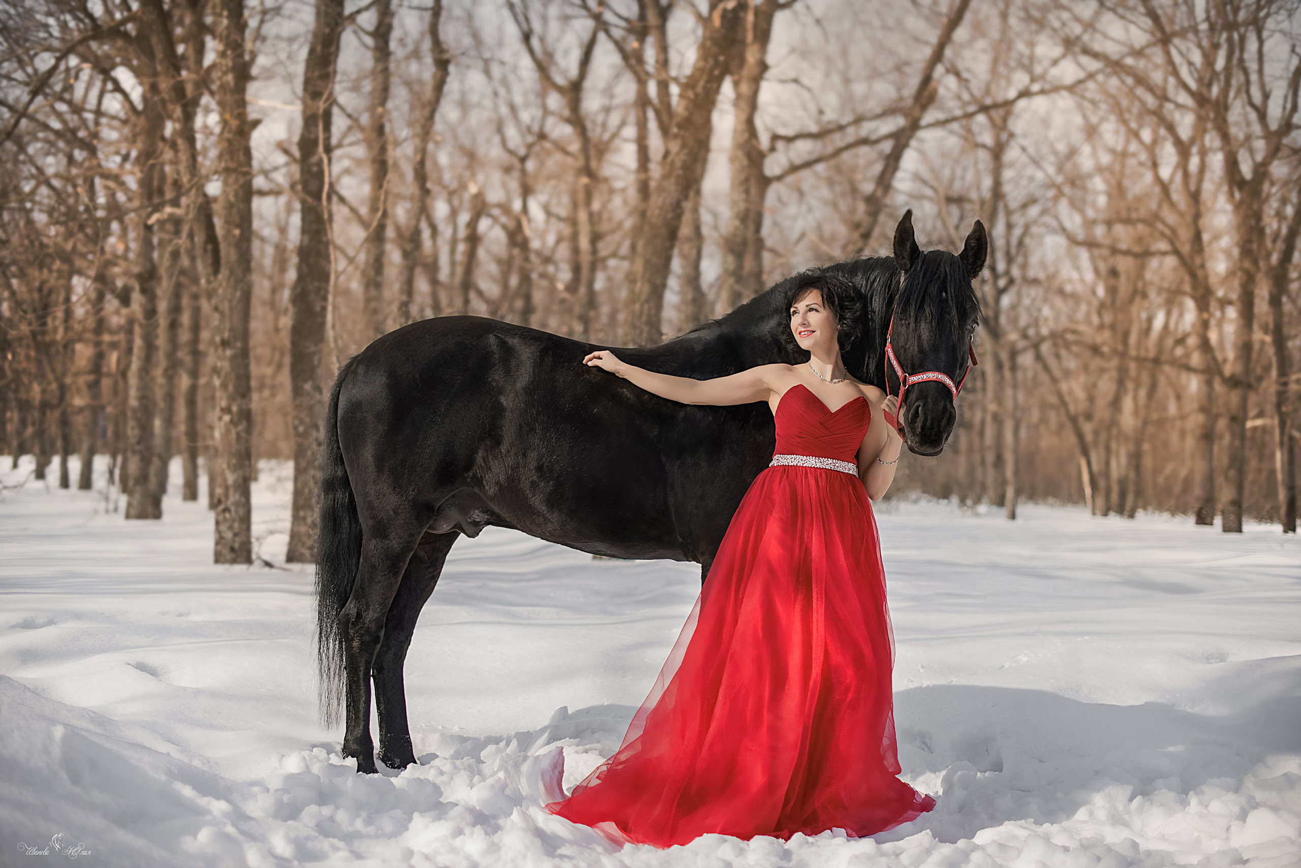 Оксана и Пират. Конный фотограф в Саратове Юлия Иванова