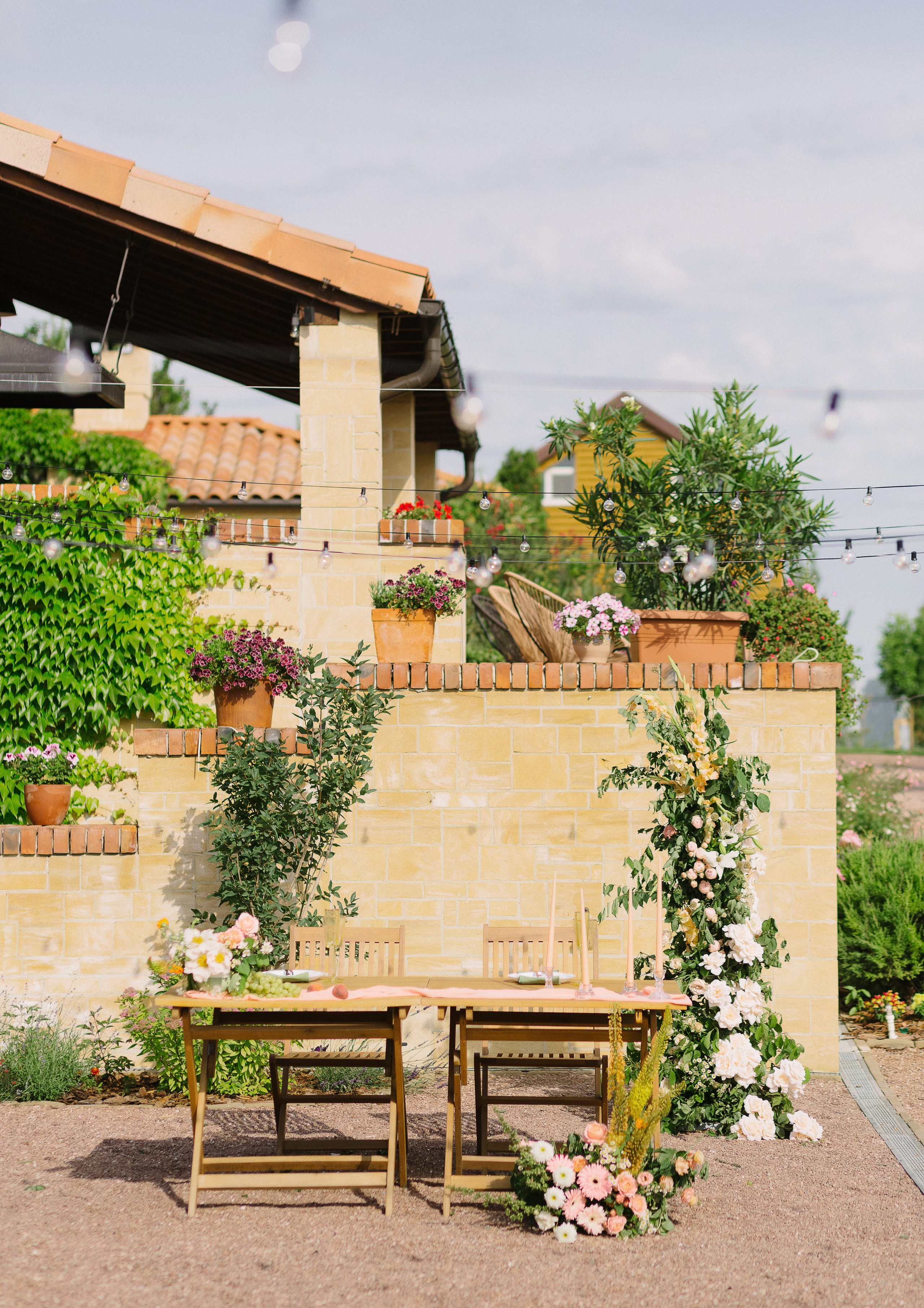 Романтическая свадьба в винодельне Пестряковых. Любовь среди винограда. Свадебный и семейный фотограф в Таганроге Бакарюк Антон