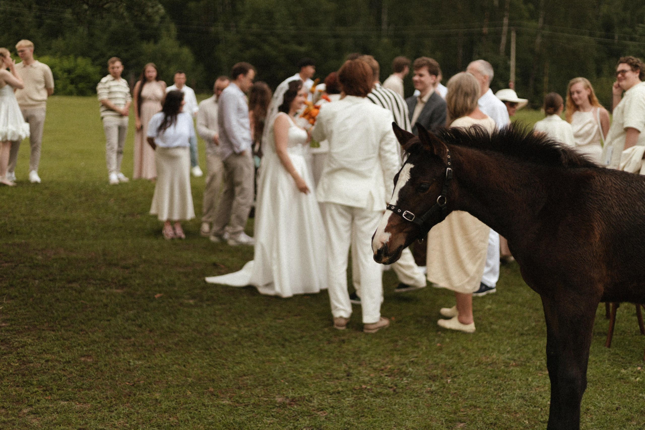 Не главные герои на своей церемонии. Свадебный и семейный фотограф в Самаре и Москве