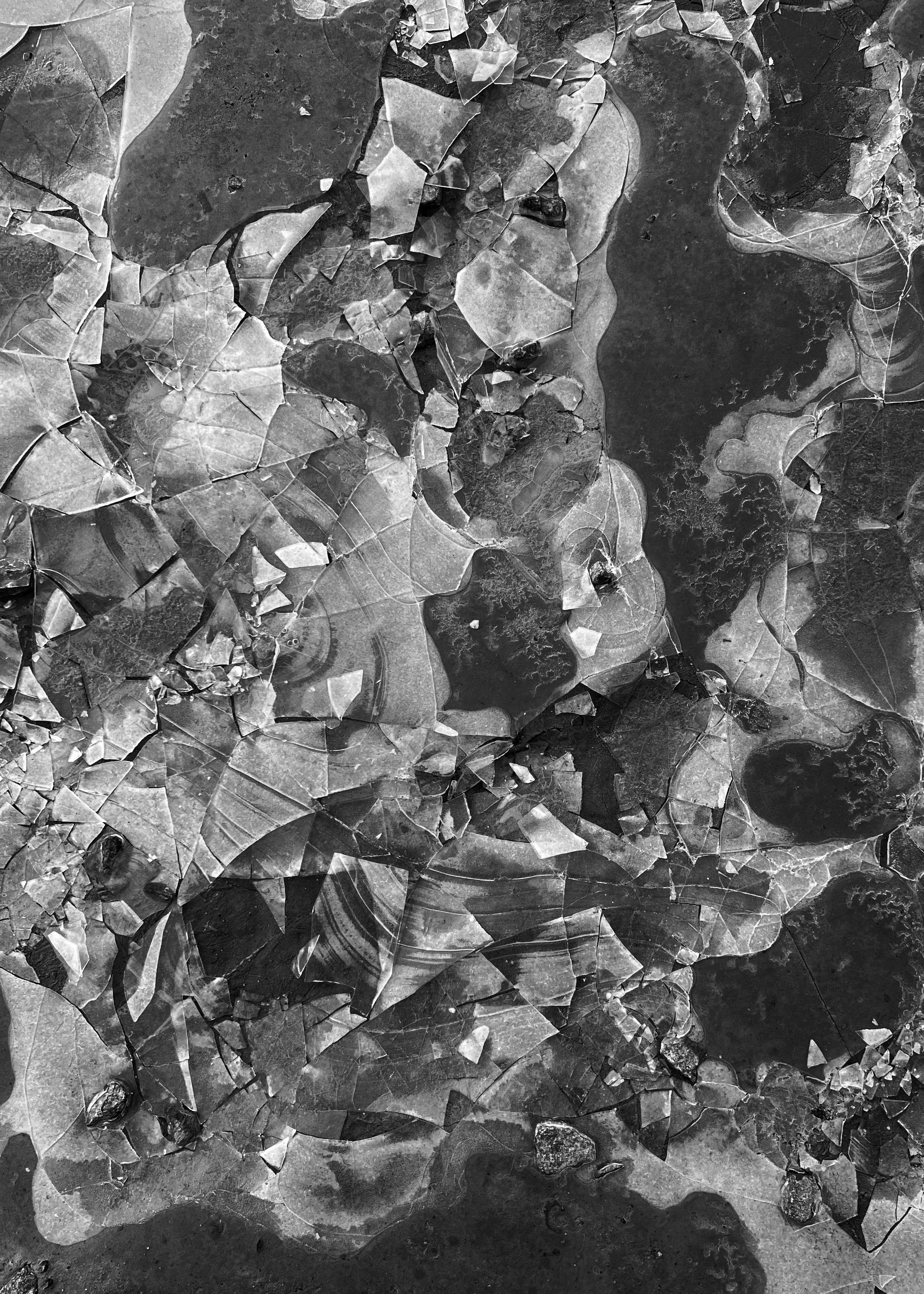 Frame 34 / 34 кадр. Художник Катерина Копейкина / Artist Katerina Kopeikina