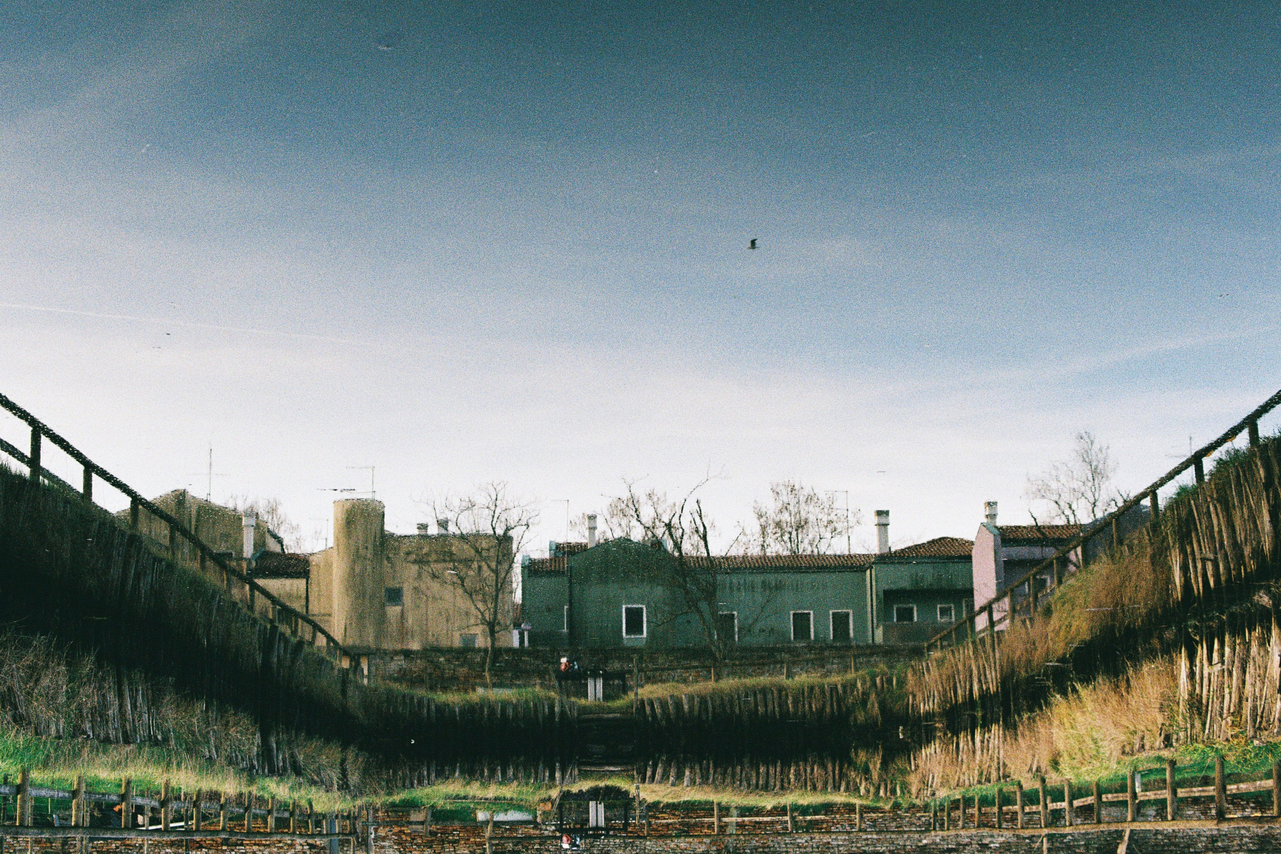 Fine art. Katya Zimina, film photographer based in Lisbon, Portugal