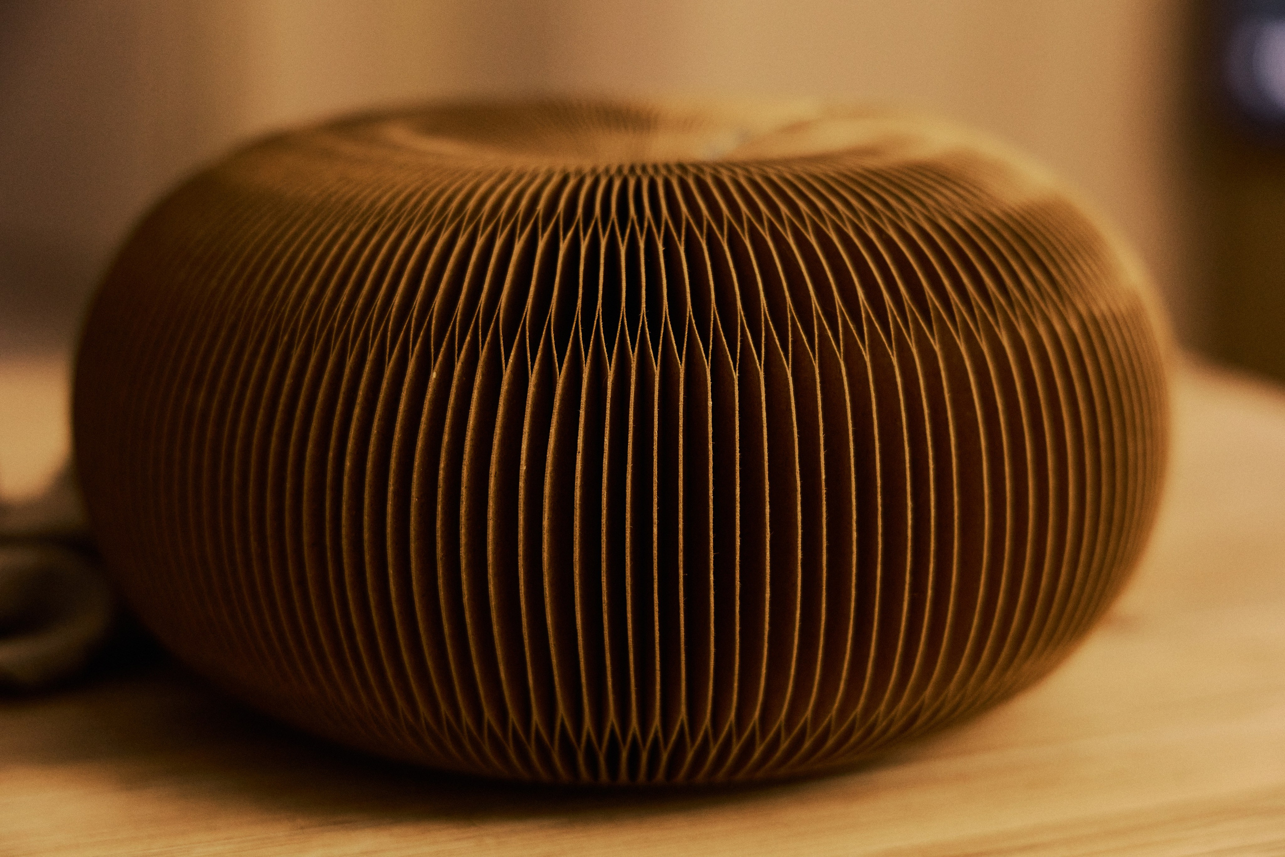 Другое 4. Jorgis — фотограф в Хургаде / обучение фотографии