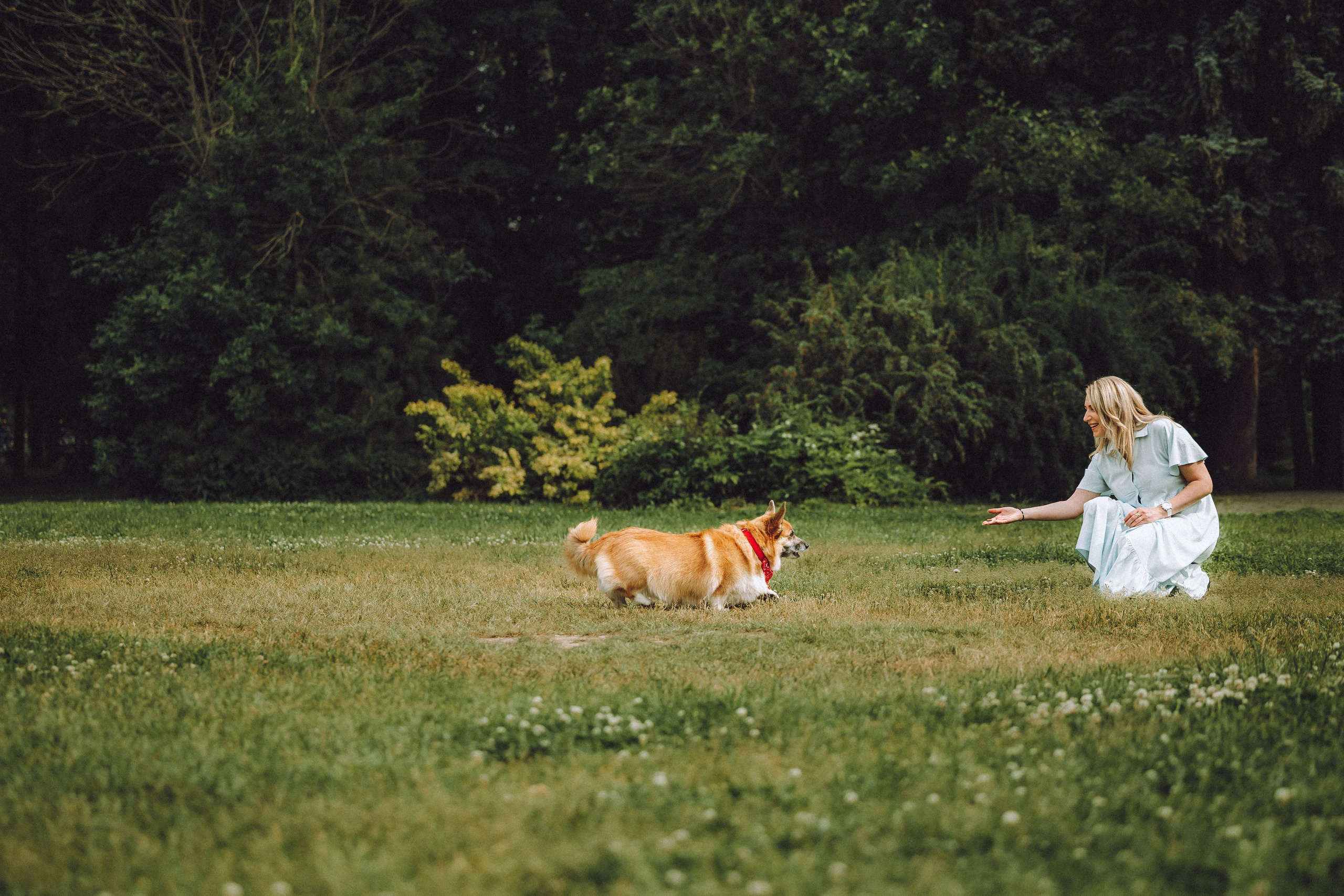 Ира, Леша и Харли