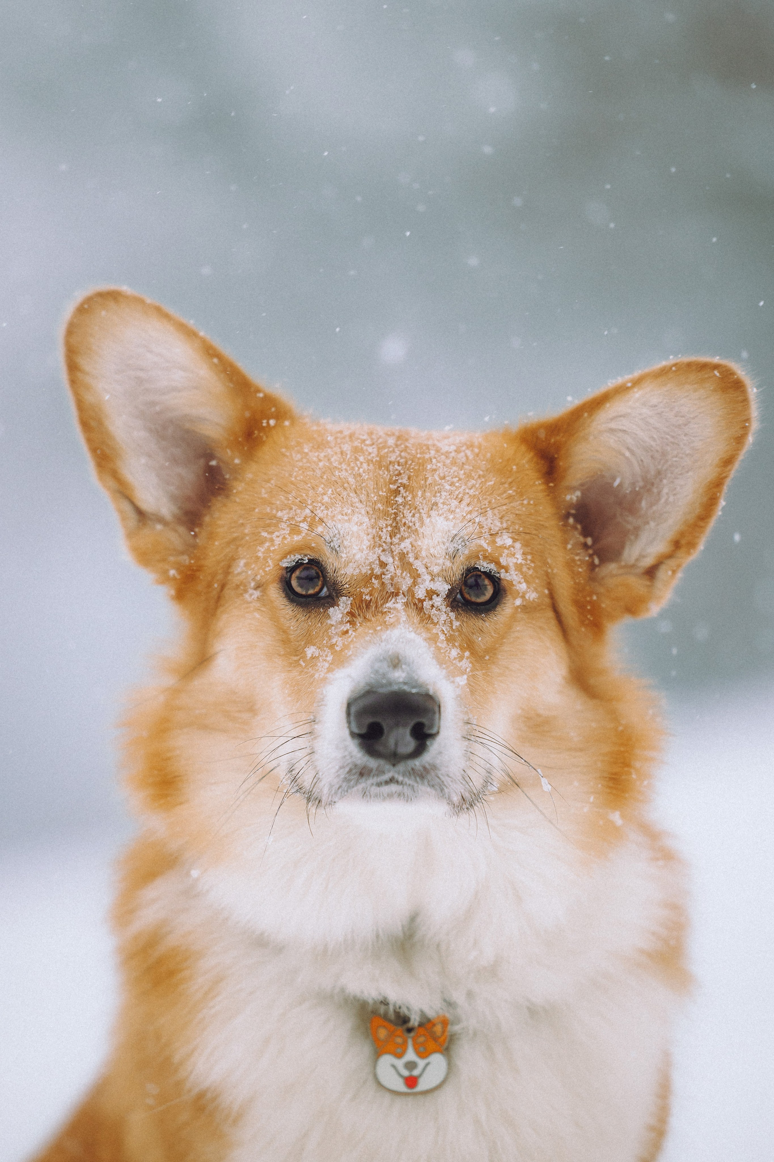 Юля и Юпитер