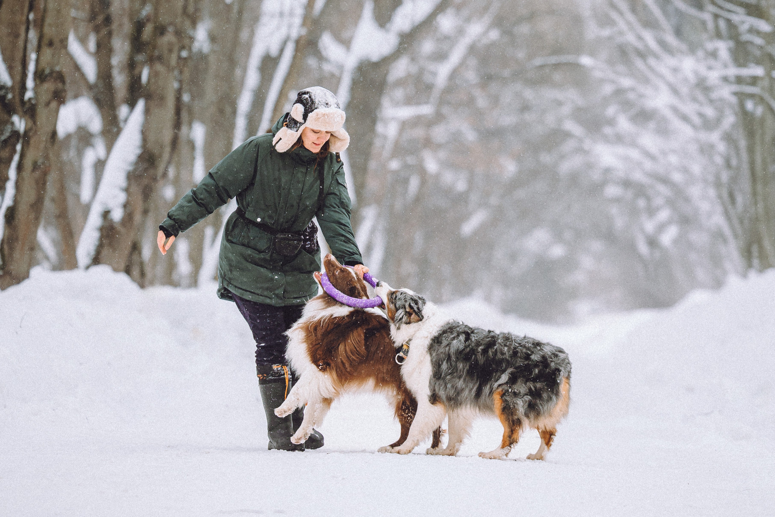 Лена, Принц и Фенек